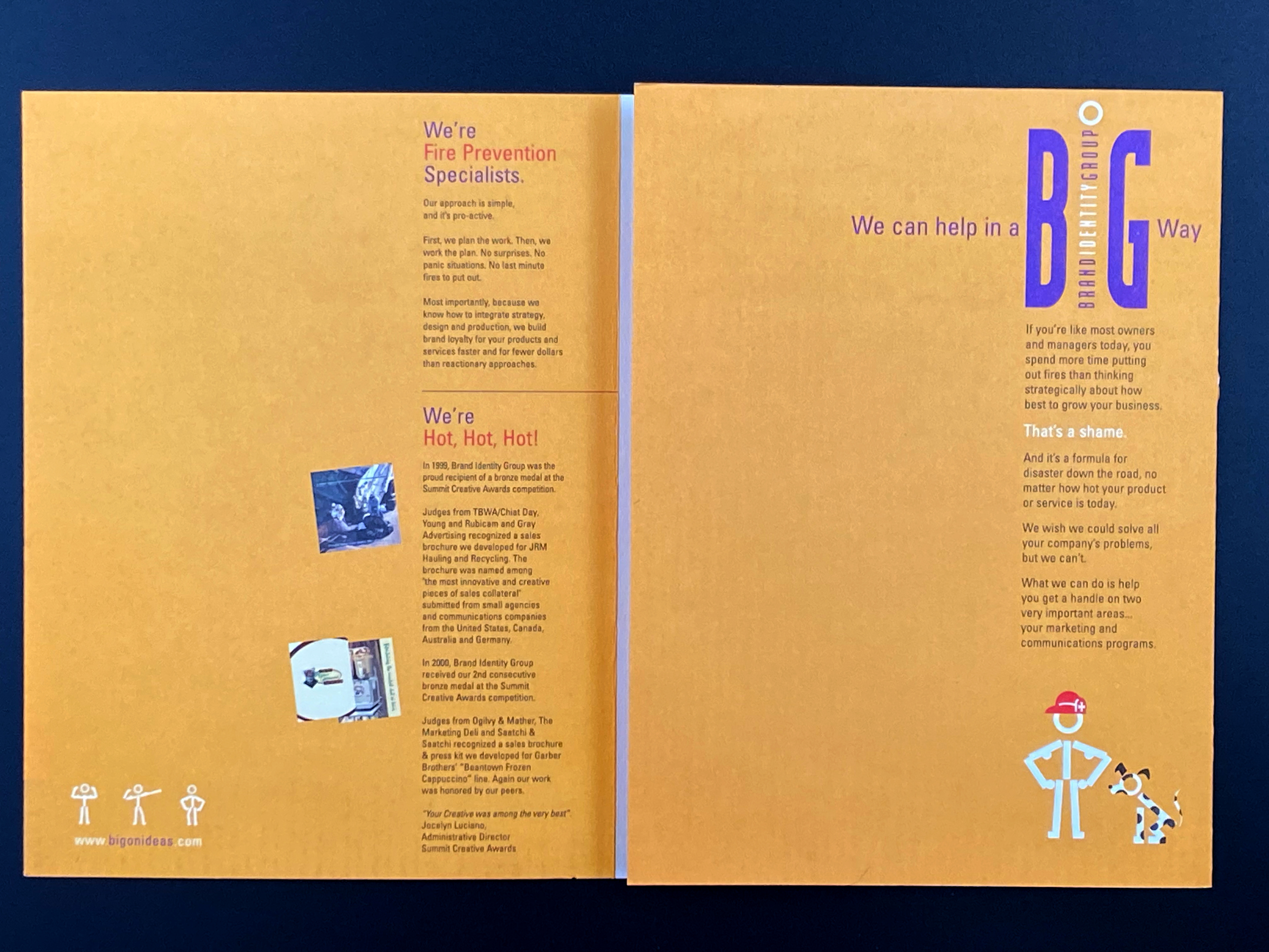 Panels 1 & 2 - Introductory Copy