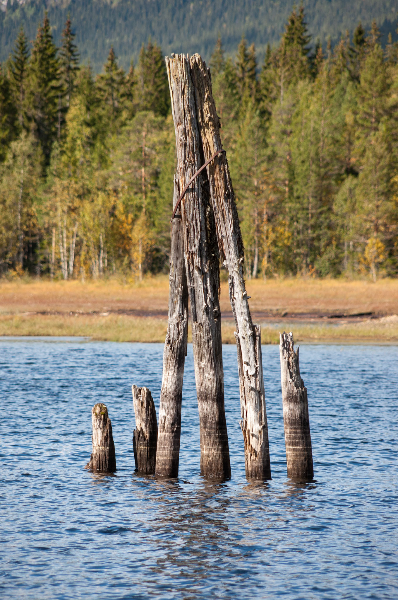 Rester etter fløtinga i Aurdalsfjorden