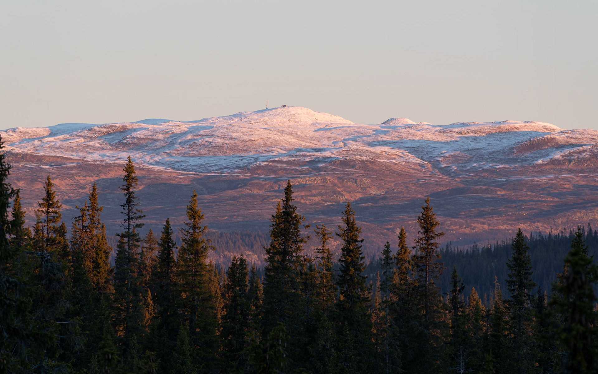 Spåtind ved solnedgang