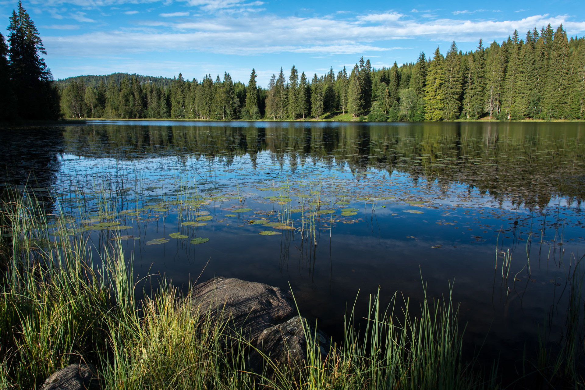 Sommerdag ved Asdøltjern
