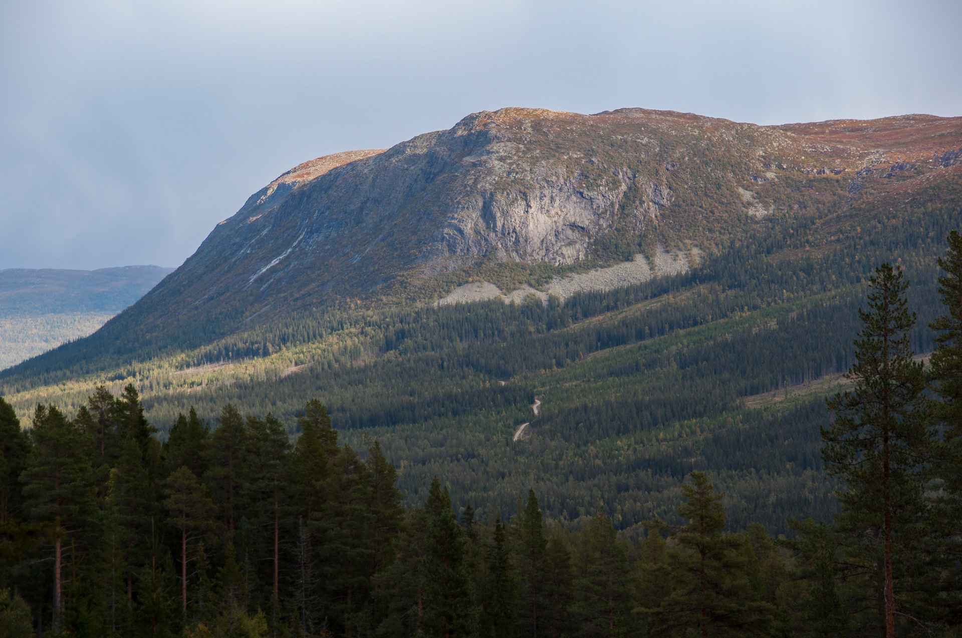 Dyttholknatten