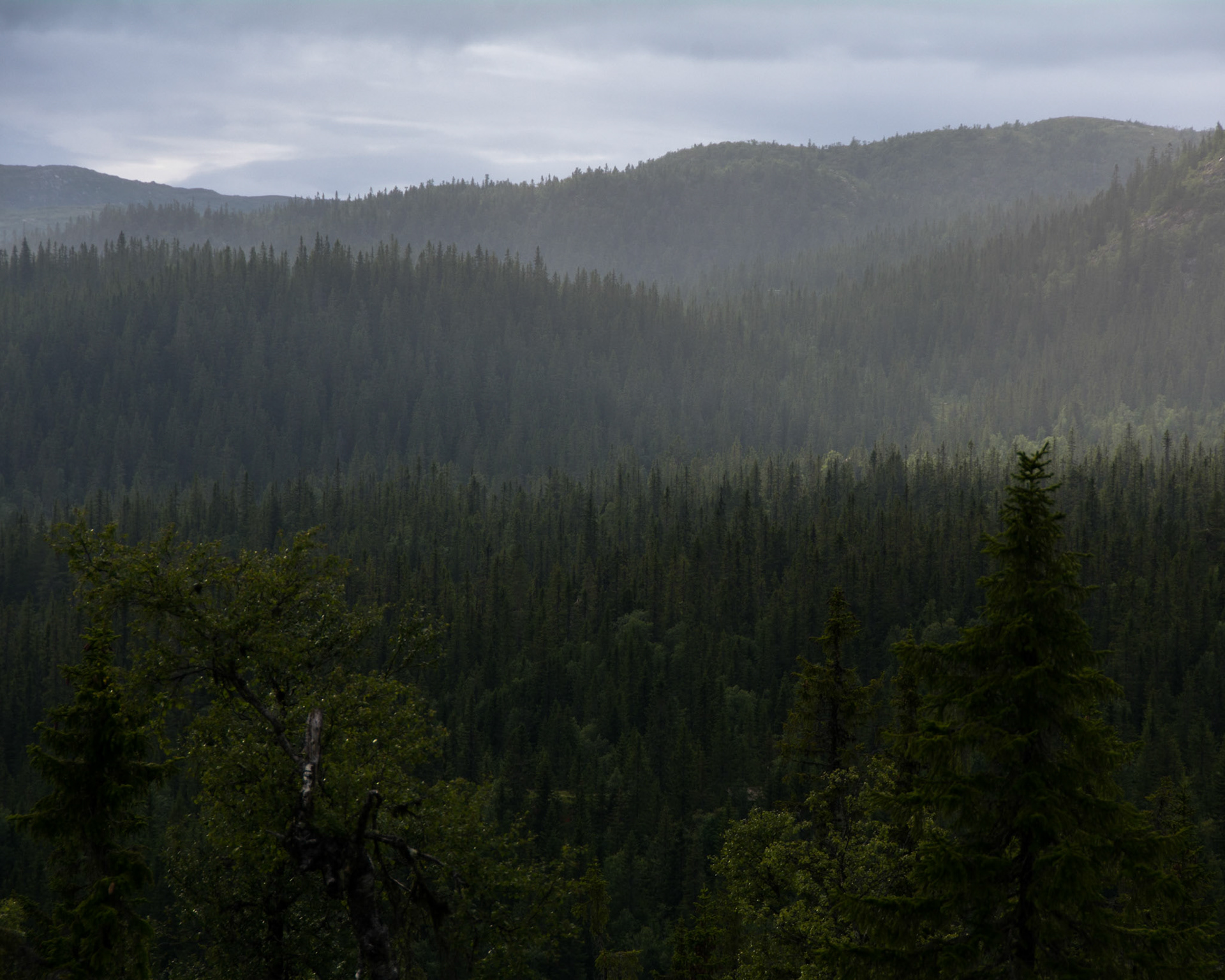 Regnet nærmer seg Vassfarkoia