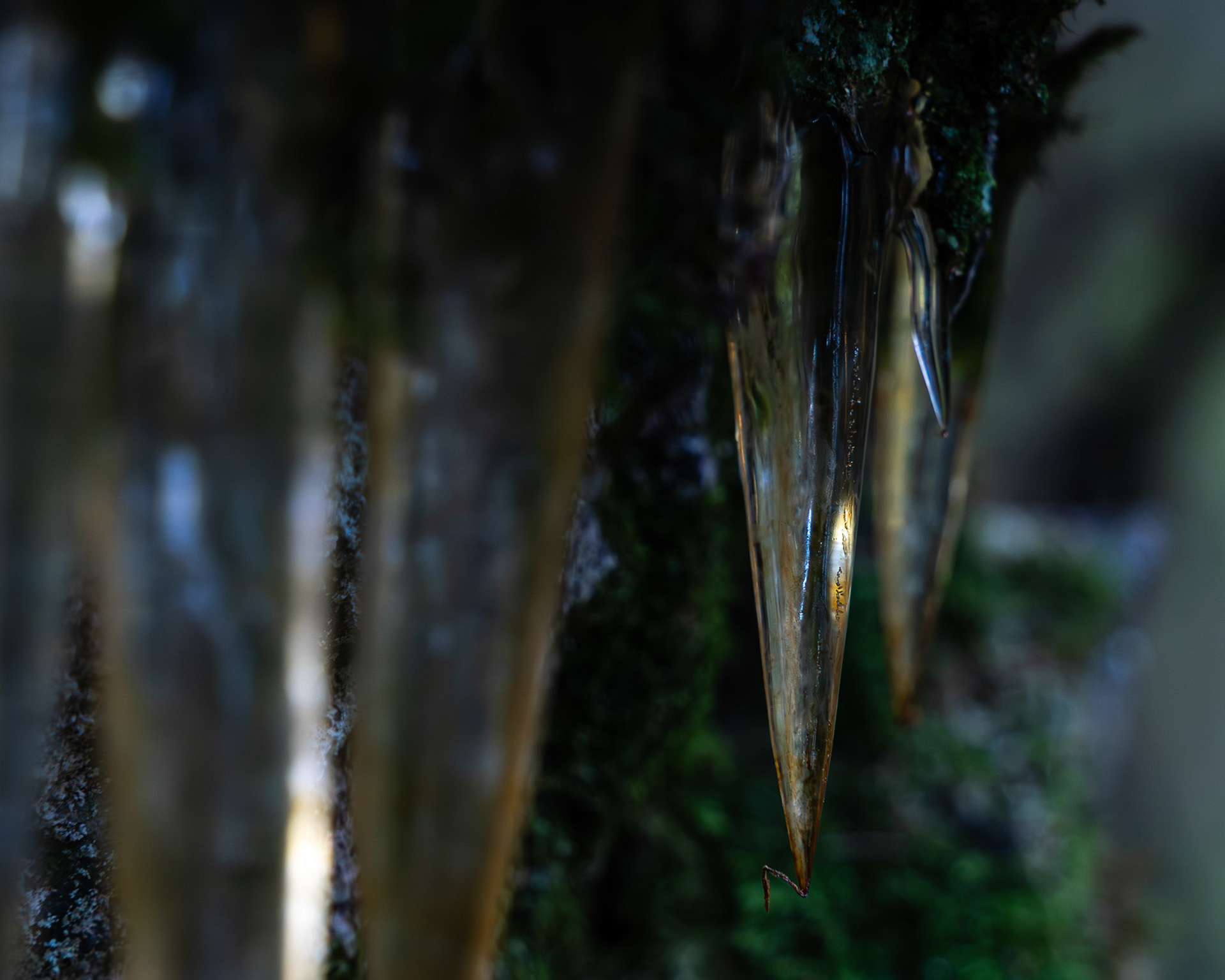 Istappene på Kampenhaug