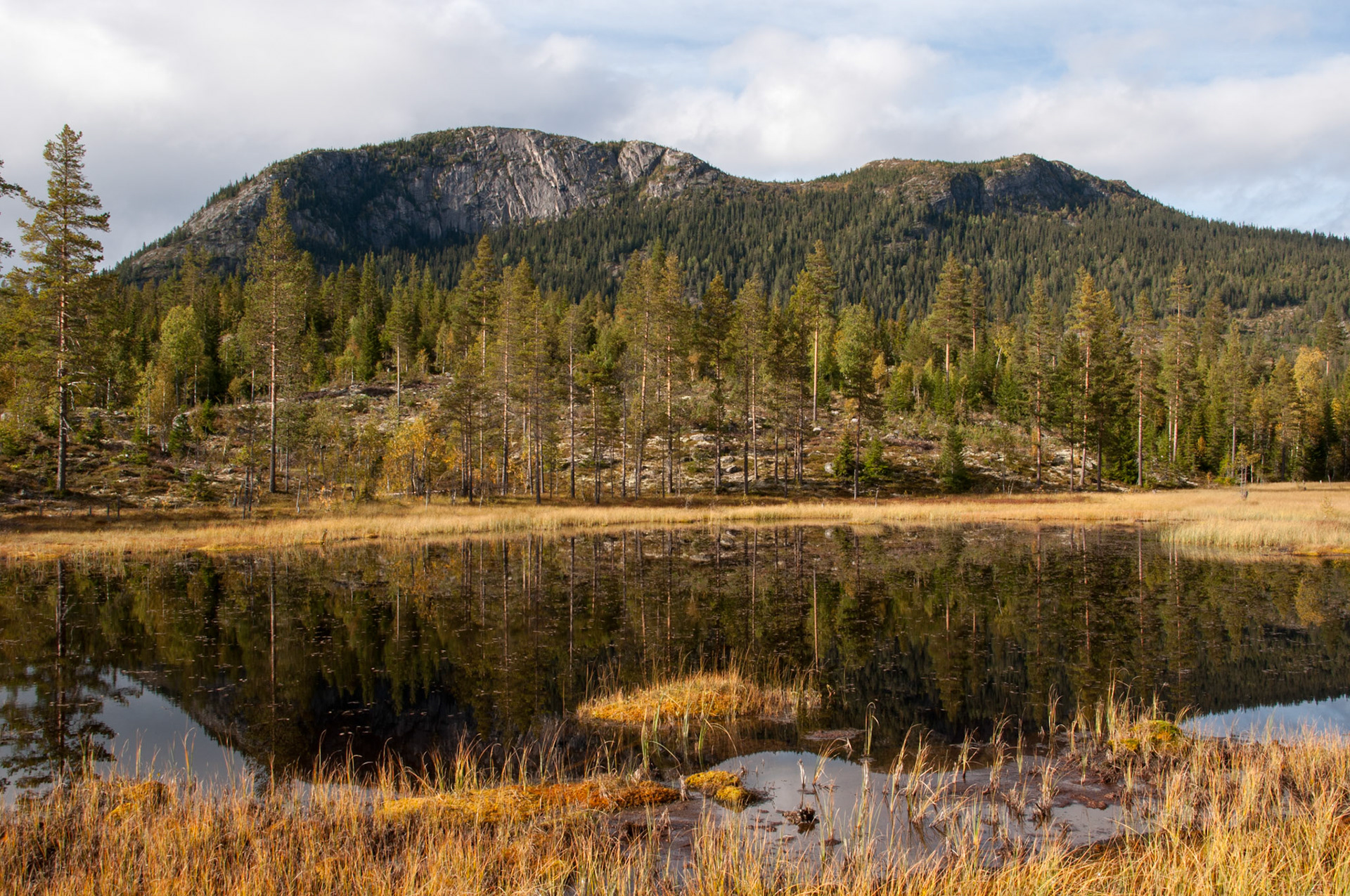 Nevlingskollen i høstskrud