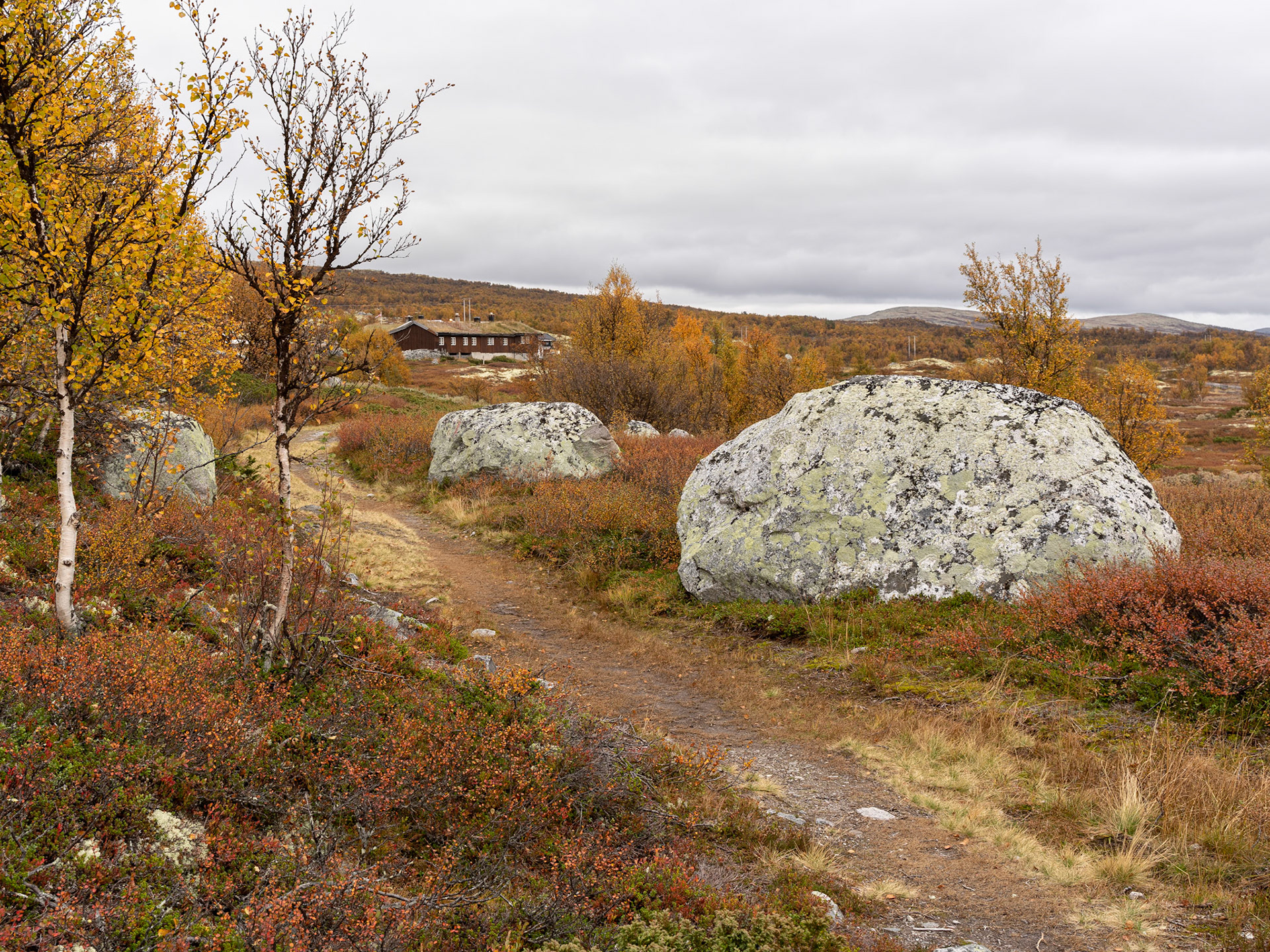 Breisjøseter