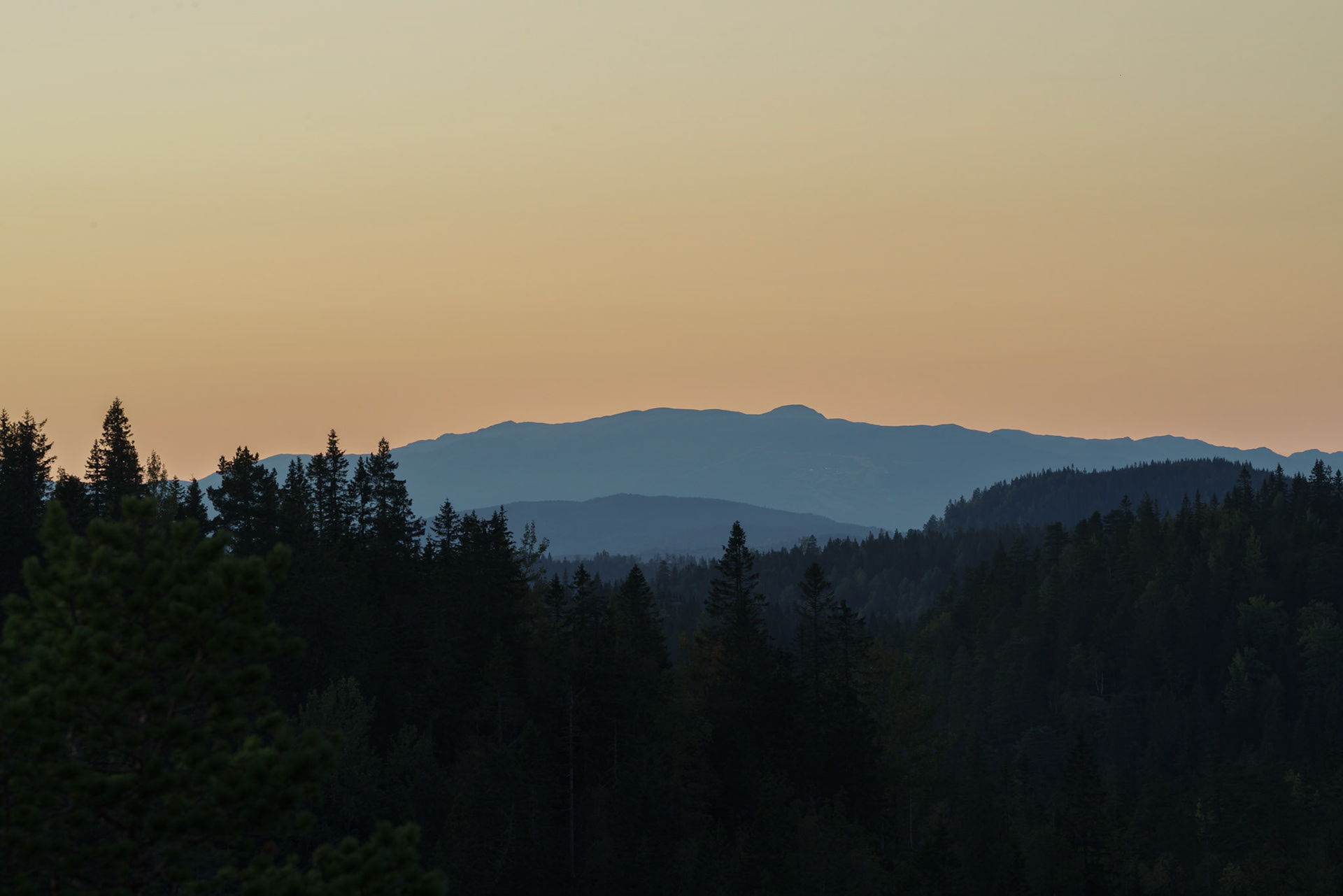 En høstkveld på Hogskollen