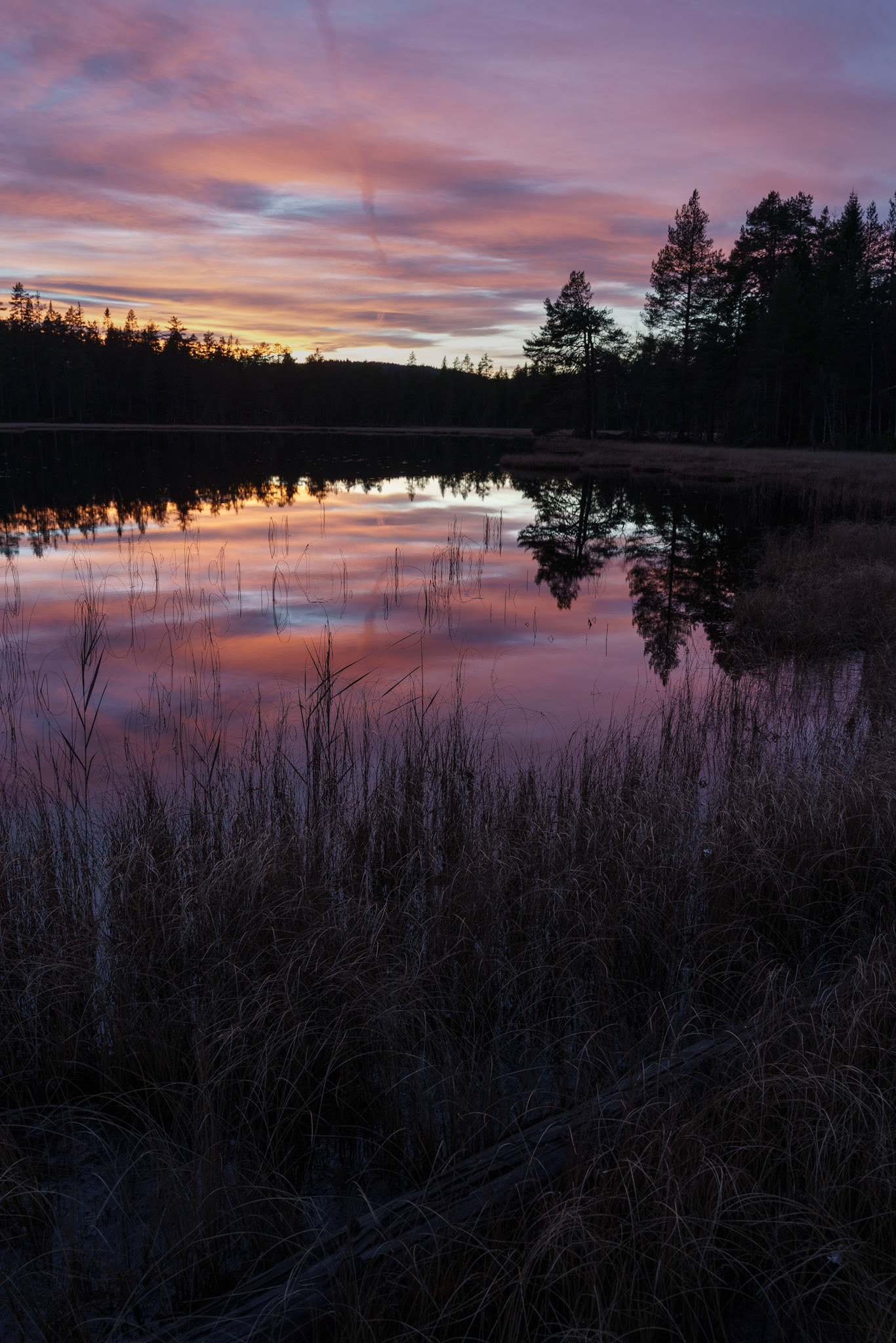 Damvannet en høstkveld