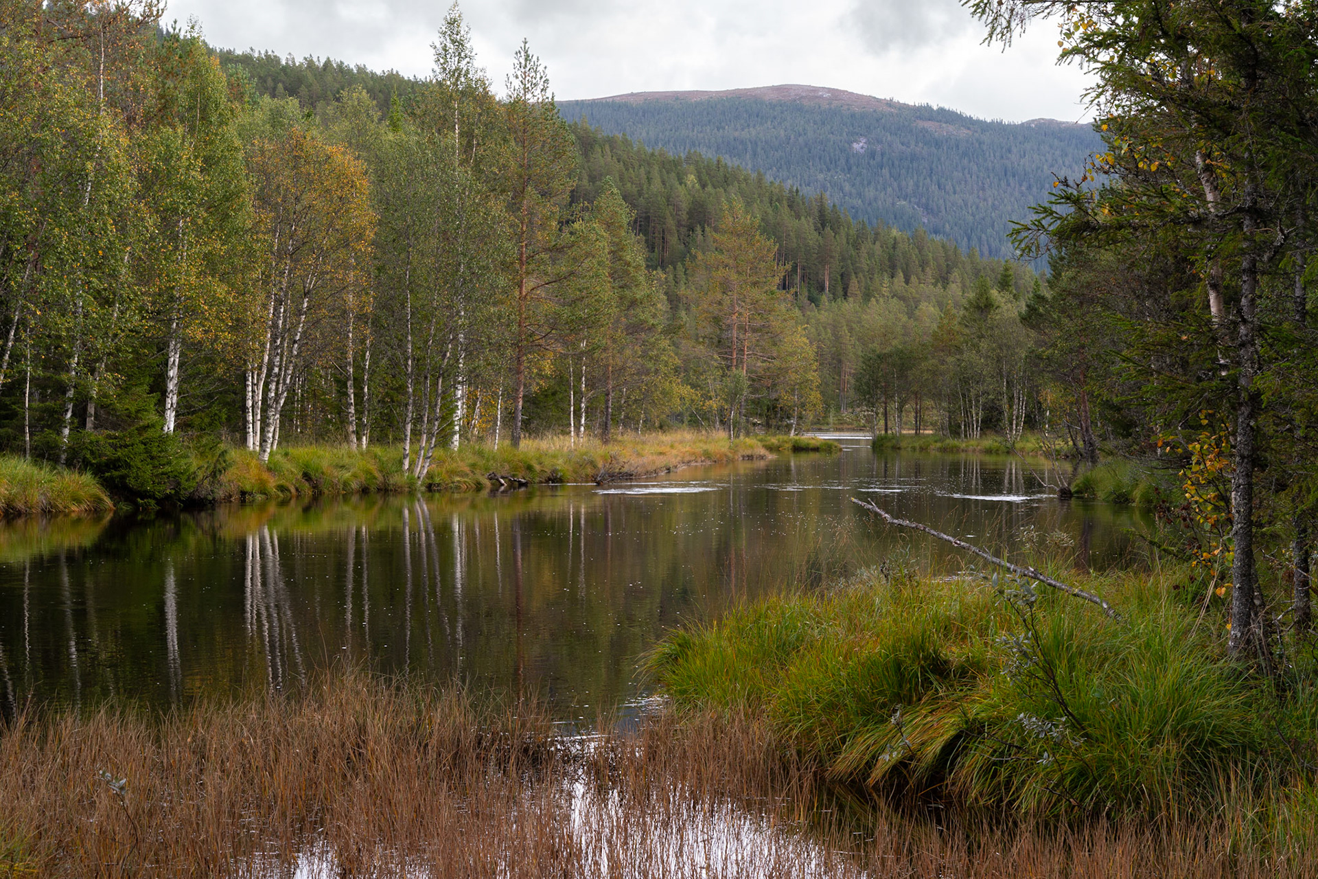 Floden ved Olsonheimen