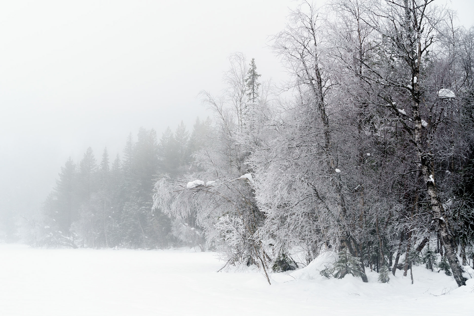 Vinterstemning ved Løken