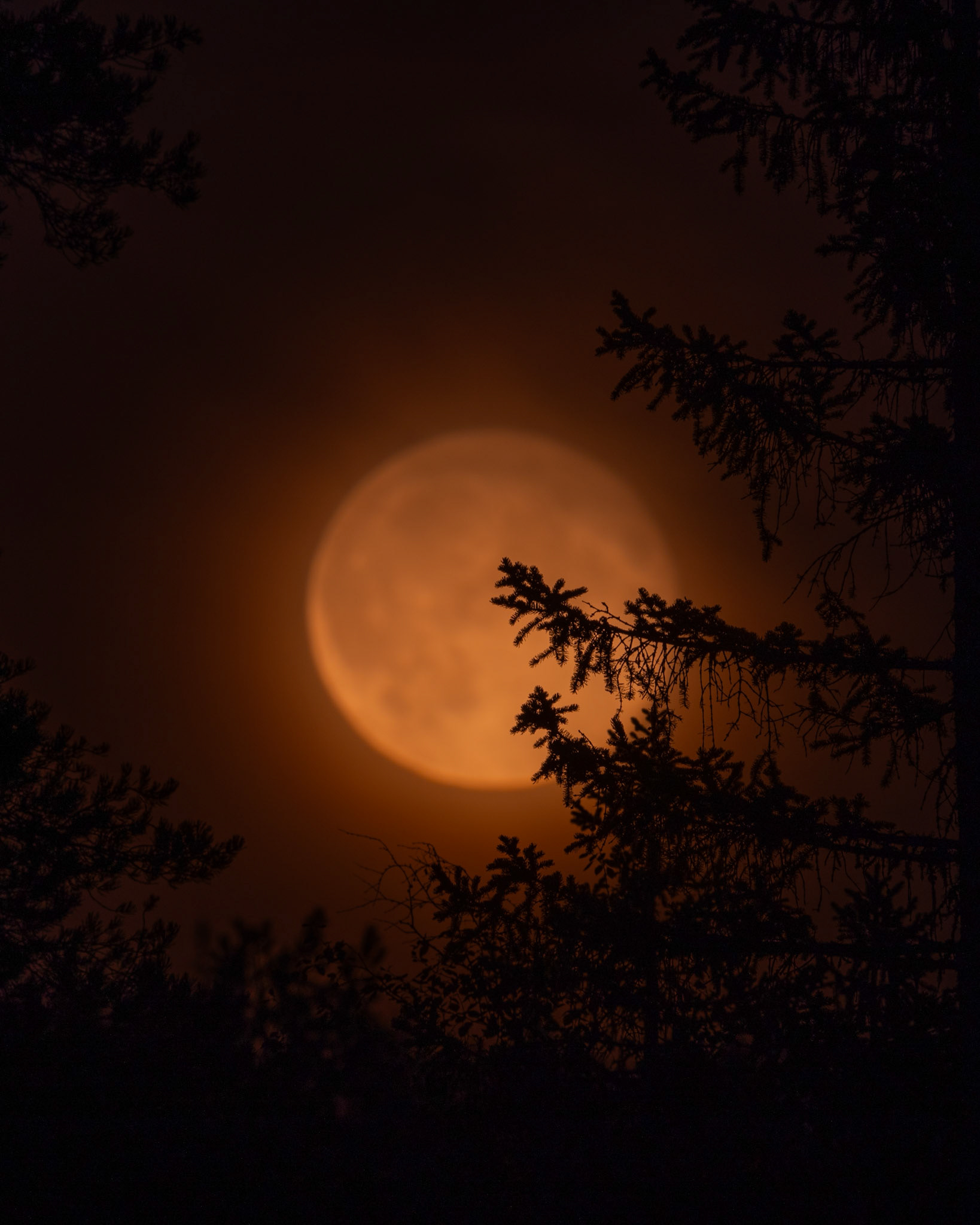 Fullmåne ved Mellomdammen