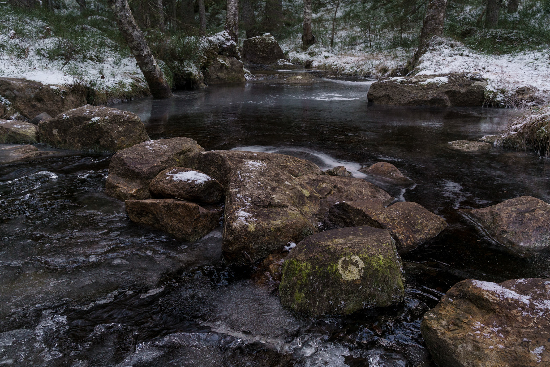 Toblebekken med snødryss