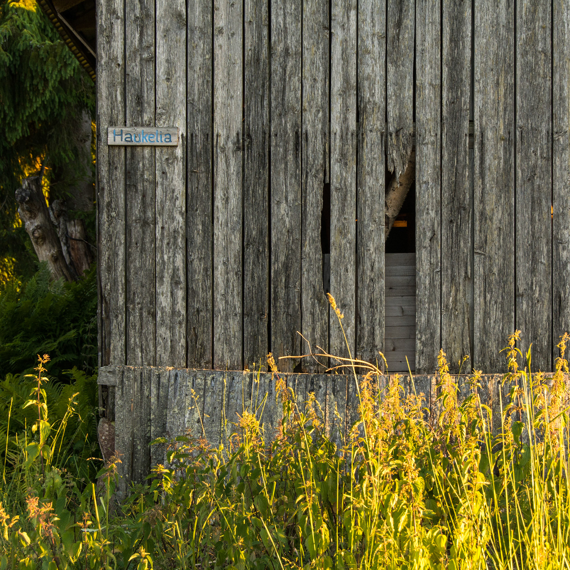 Gamle Haukelia