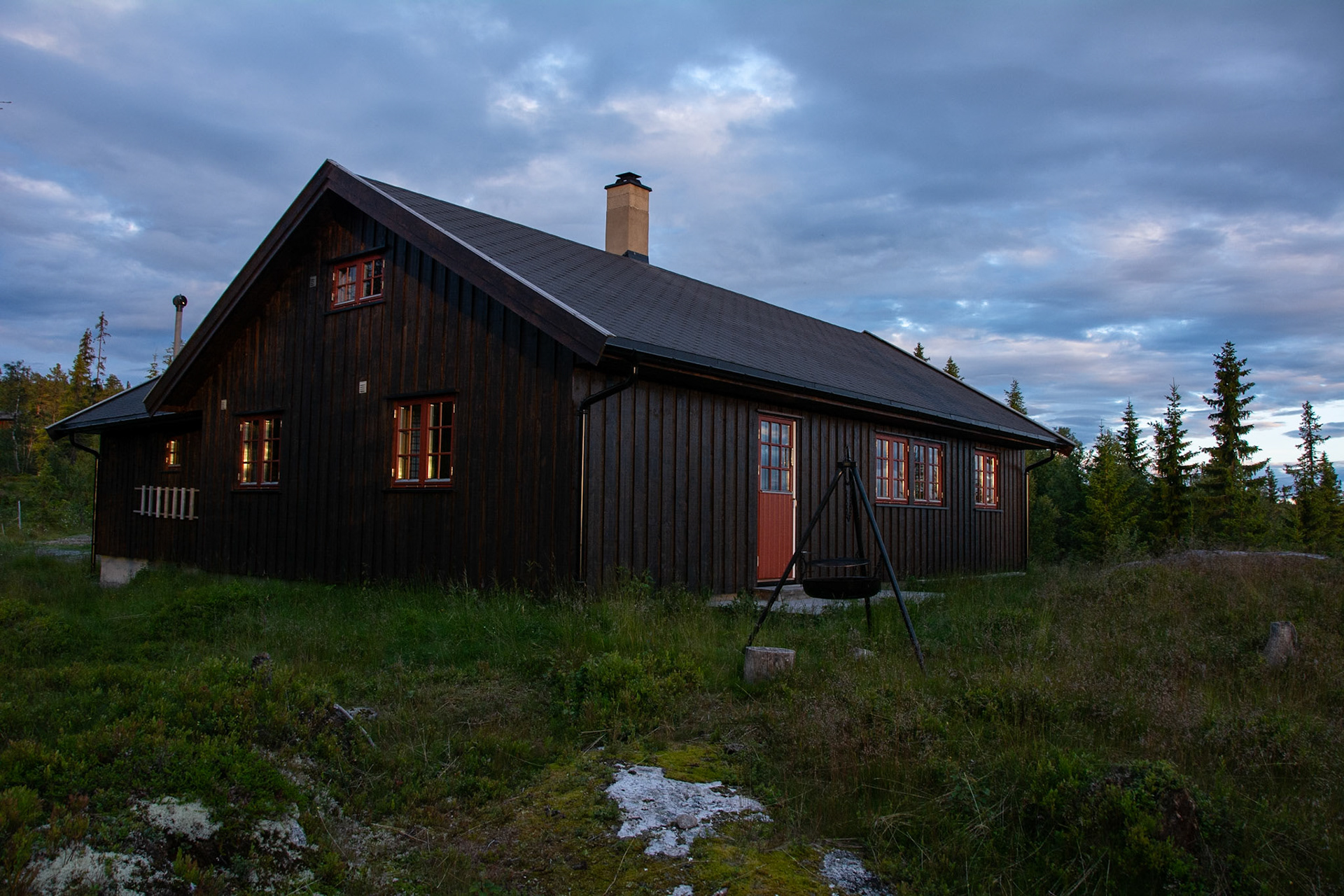 Vassfarkoia i solnedgang