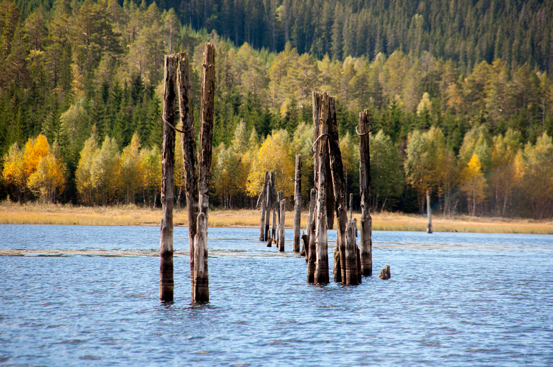Rester etter fløtinga i Aurdalsfjorden 2