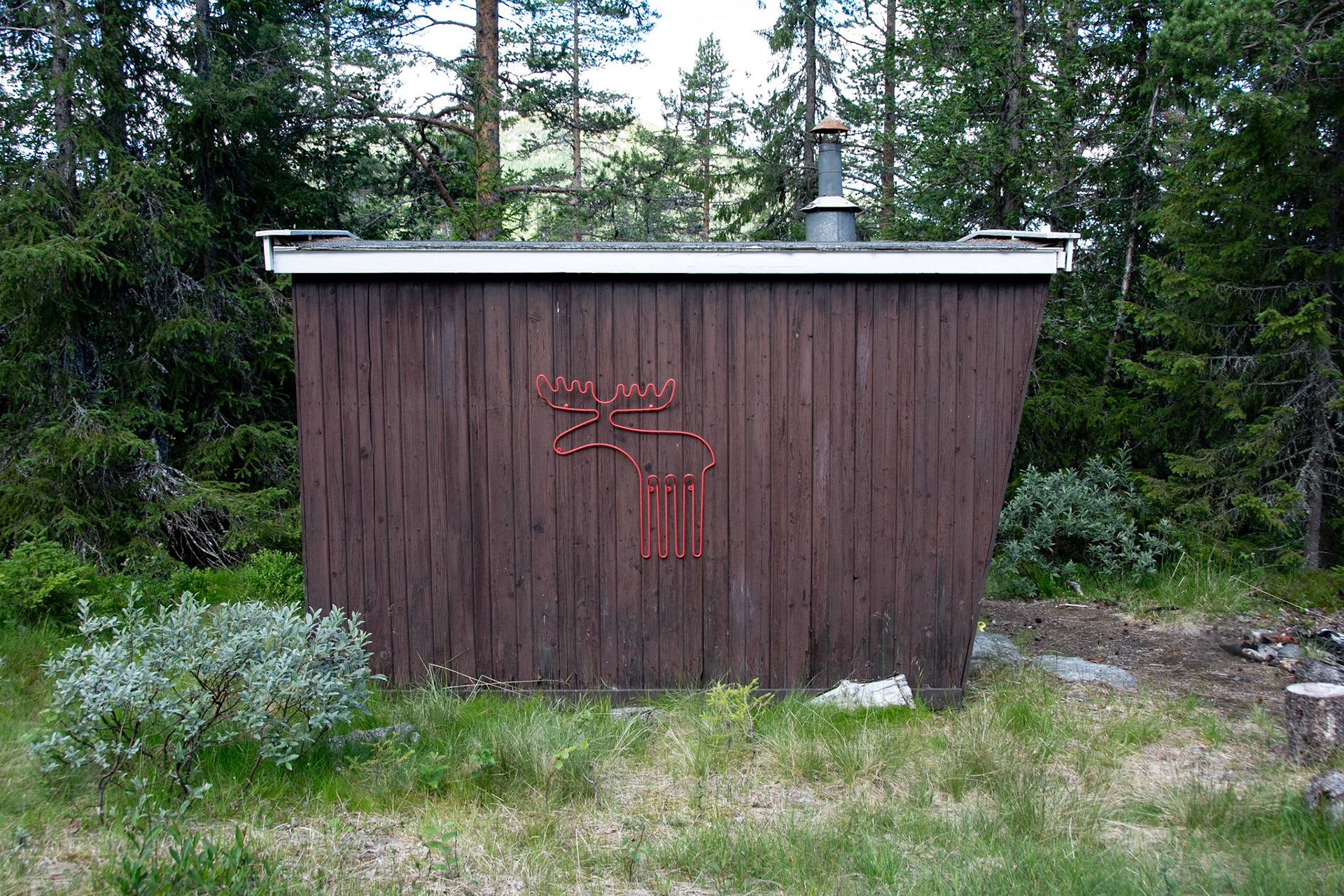 Elgbrakka ved Veneli