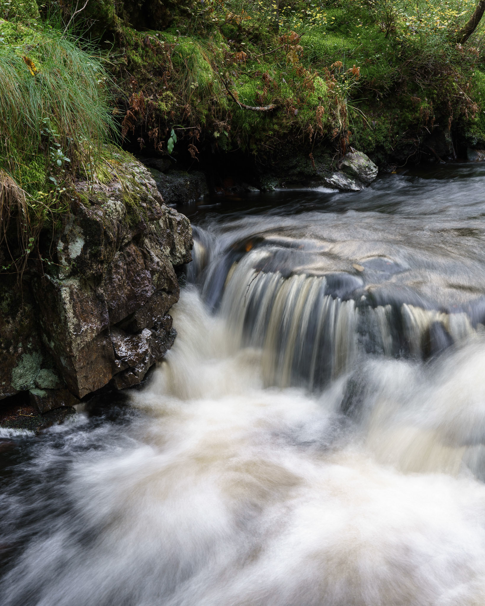 Myrsetterbekken i høstflom