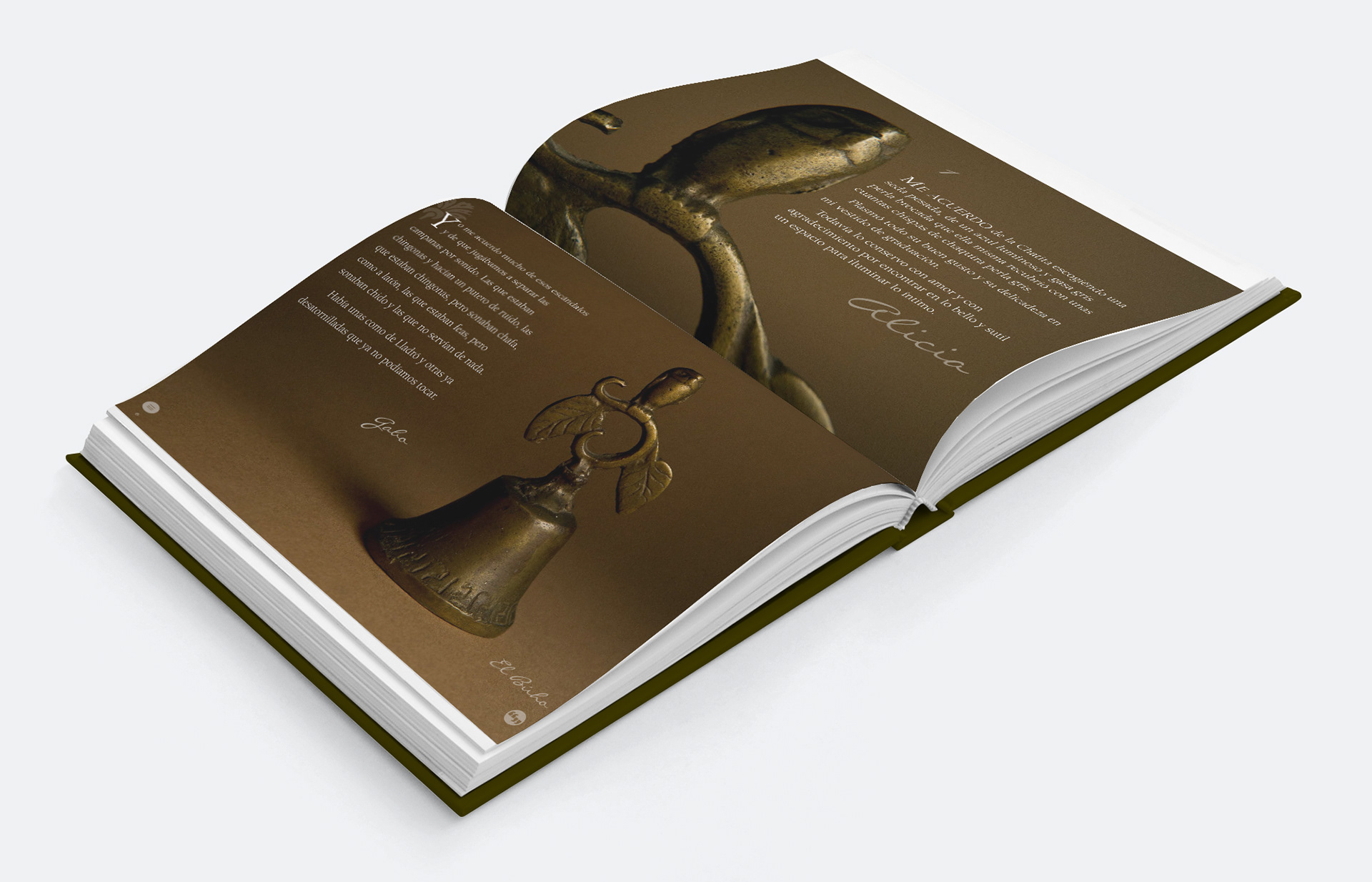Libros de lujo