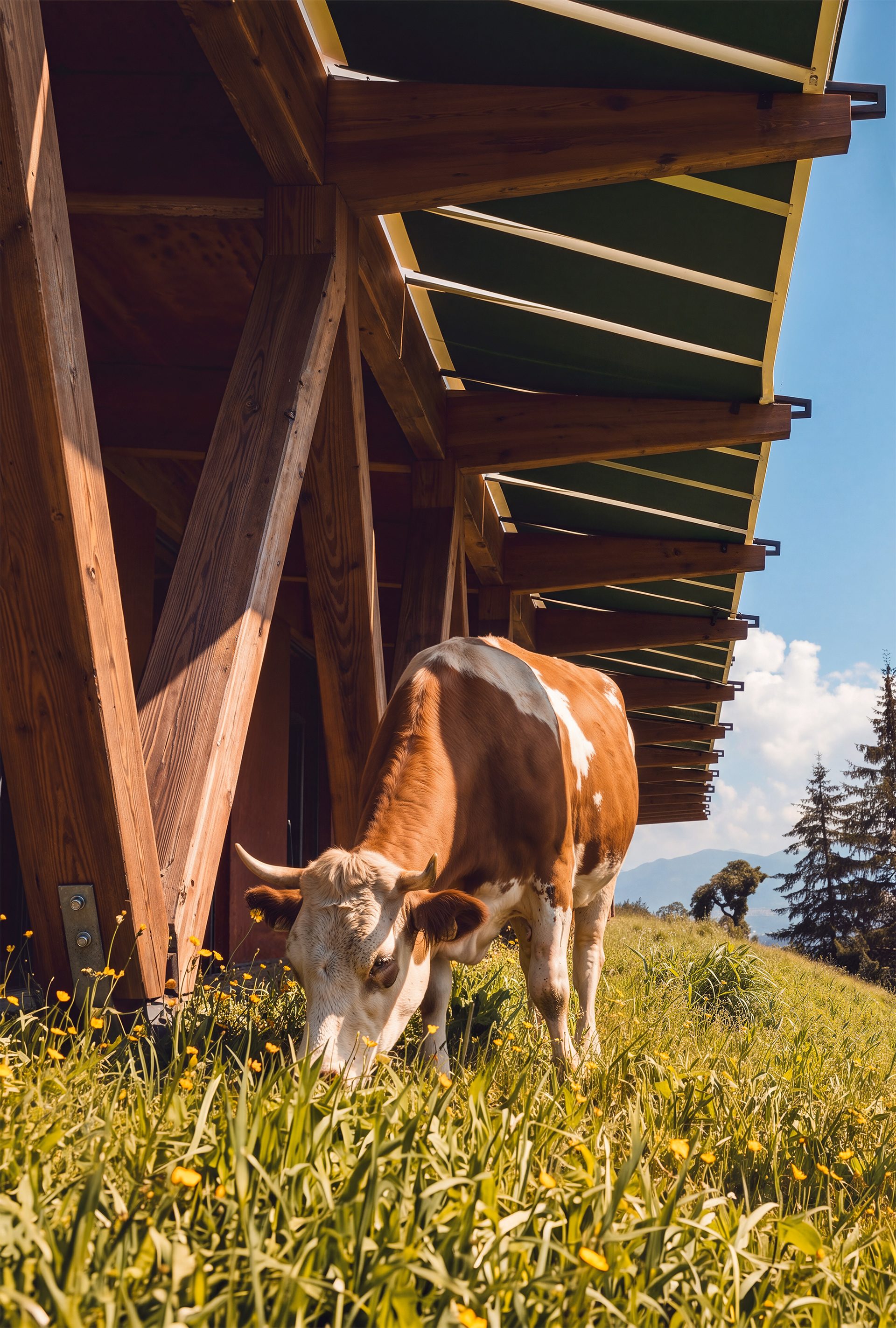 Uwarre farm II