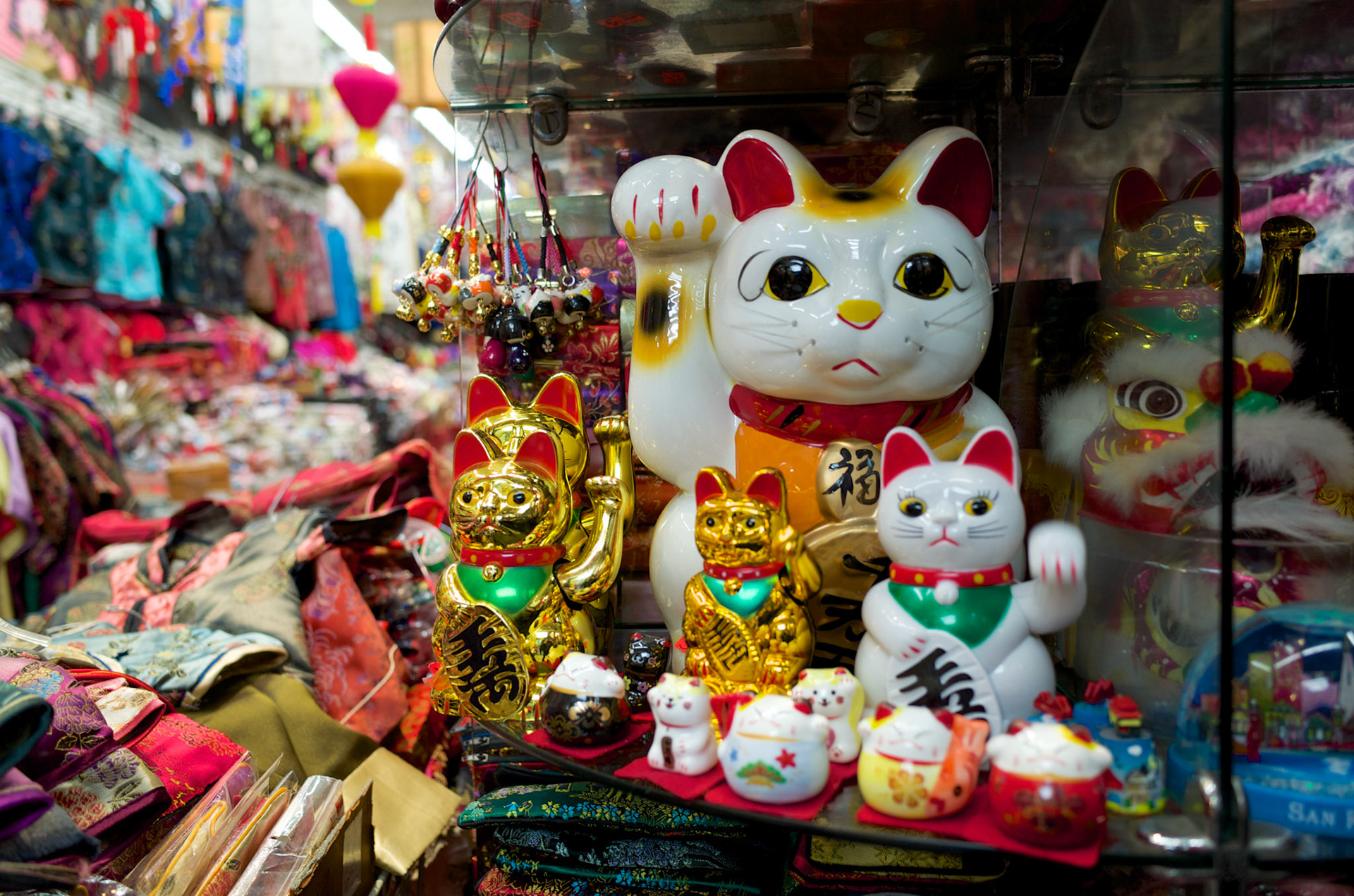 Lucky Cats