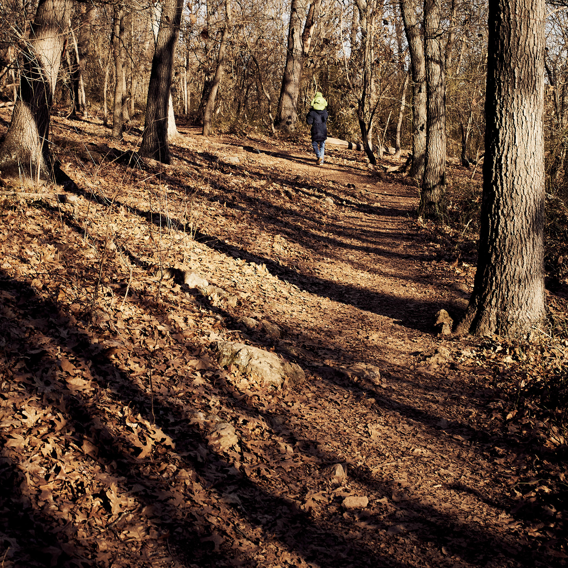 The Long Shadows of a Cold Saturday
