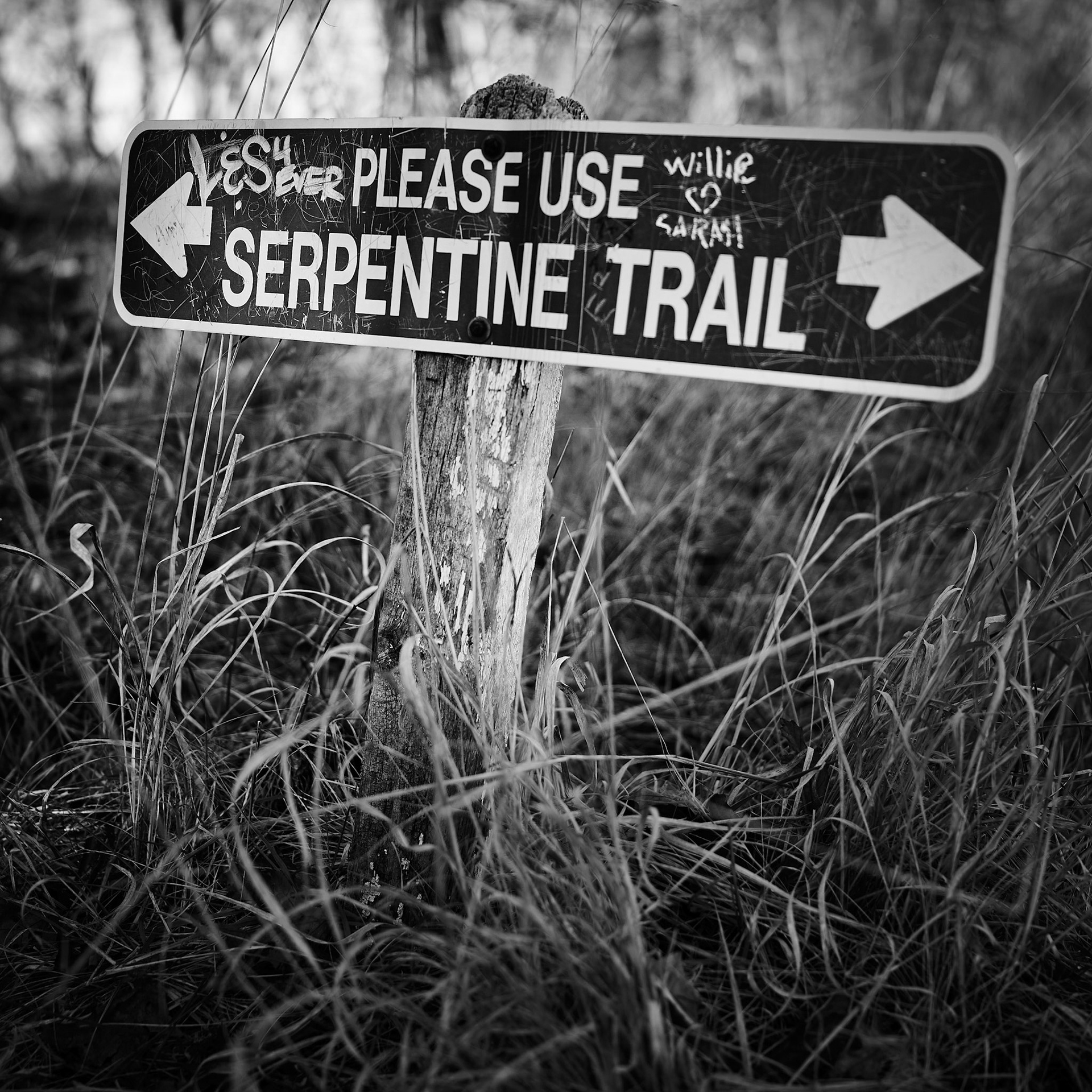 Serpentine Trail Sign No 2
