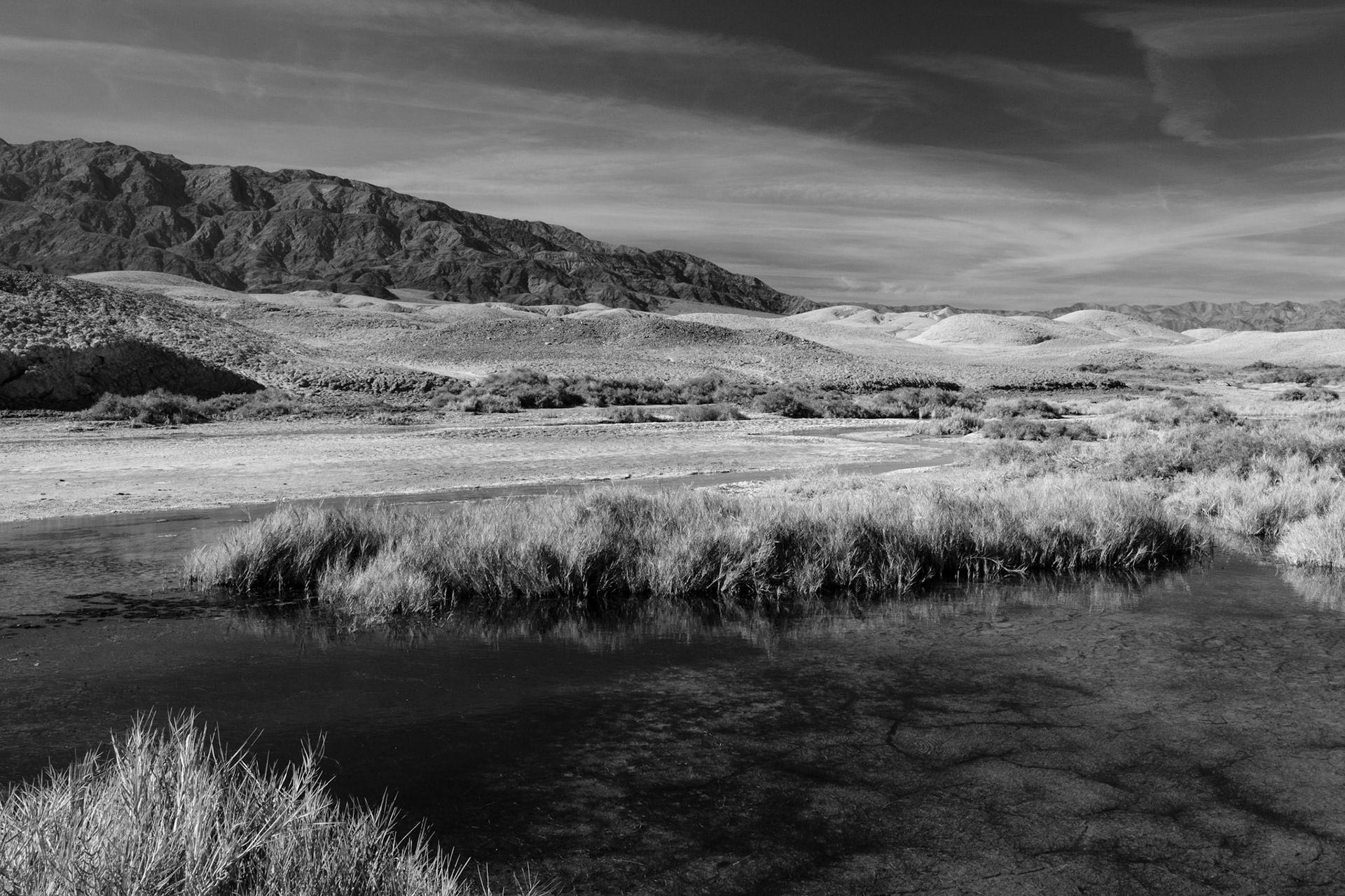 Salt Creek