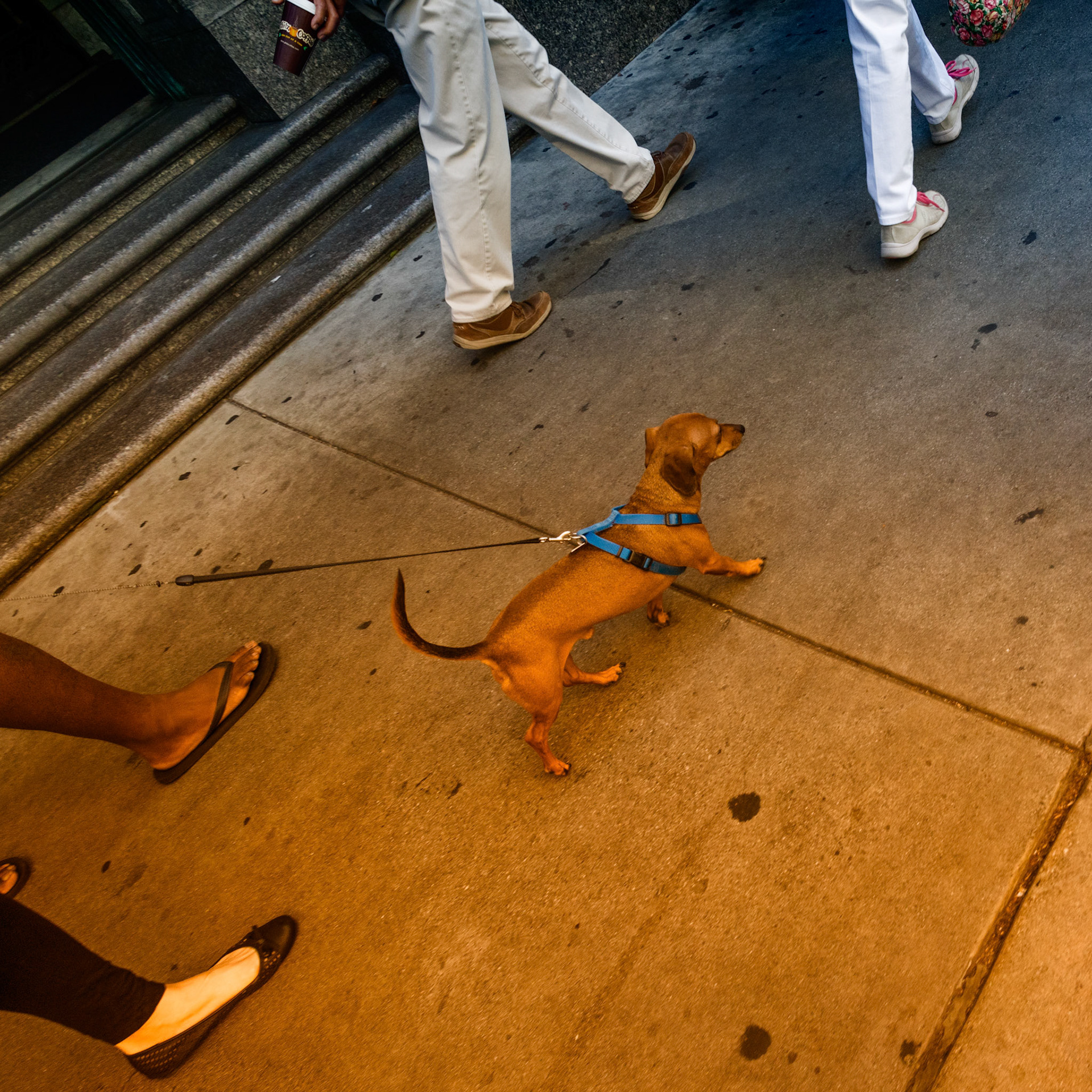 Walk This Way