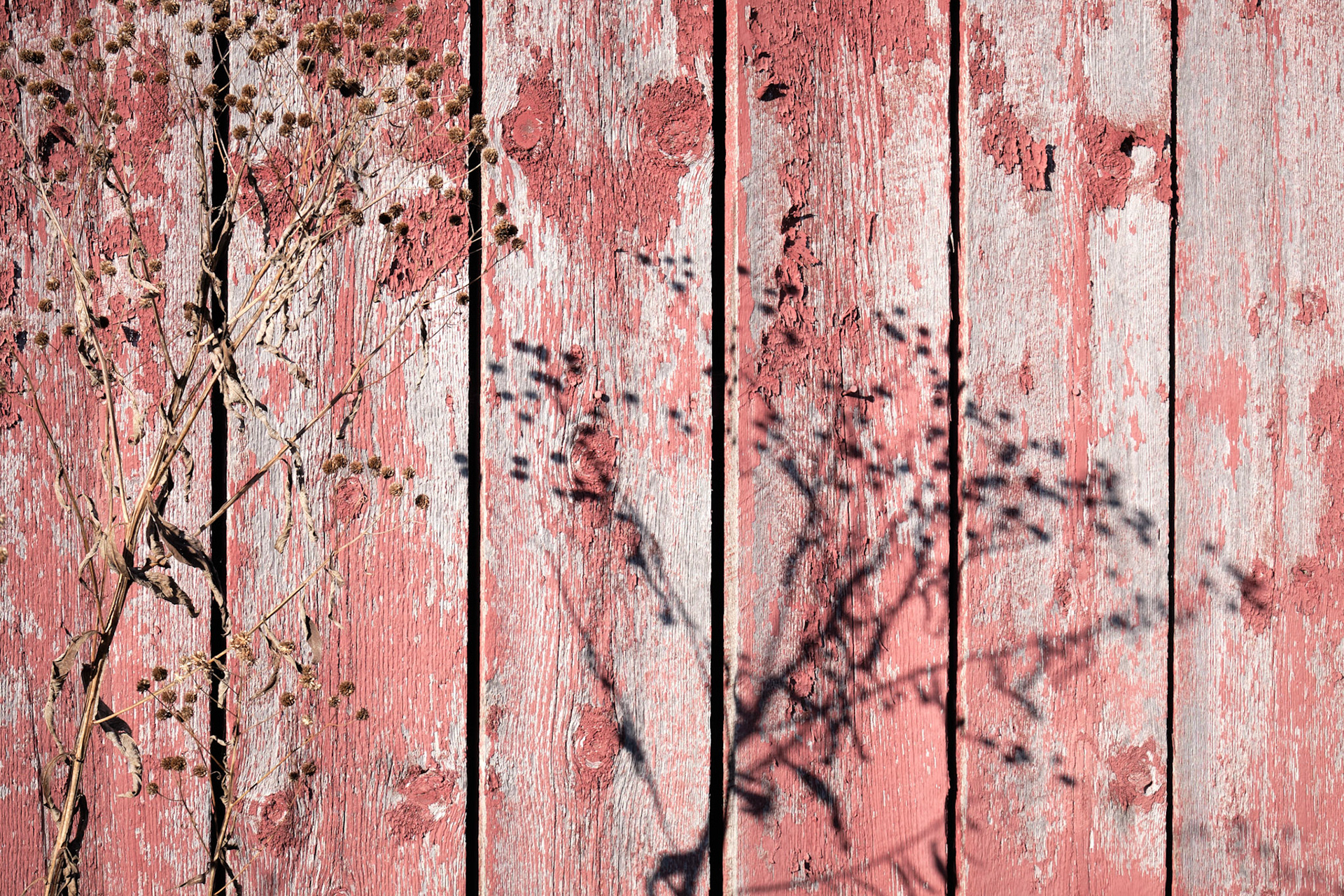Barnsiding