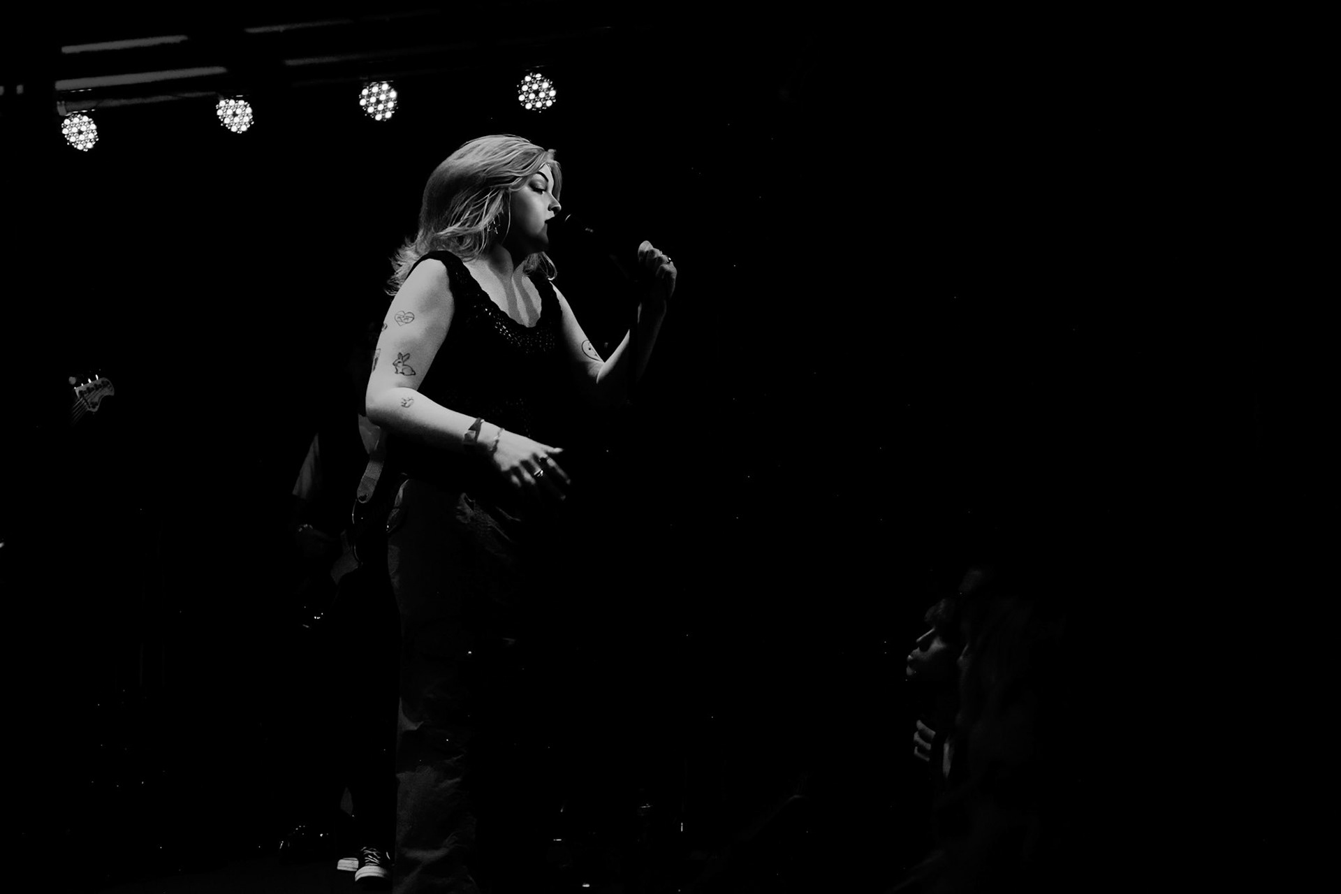 Wilt, Baltimore, 2024