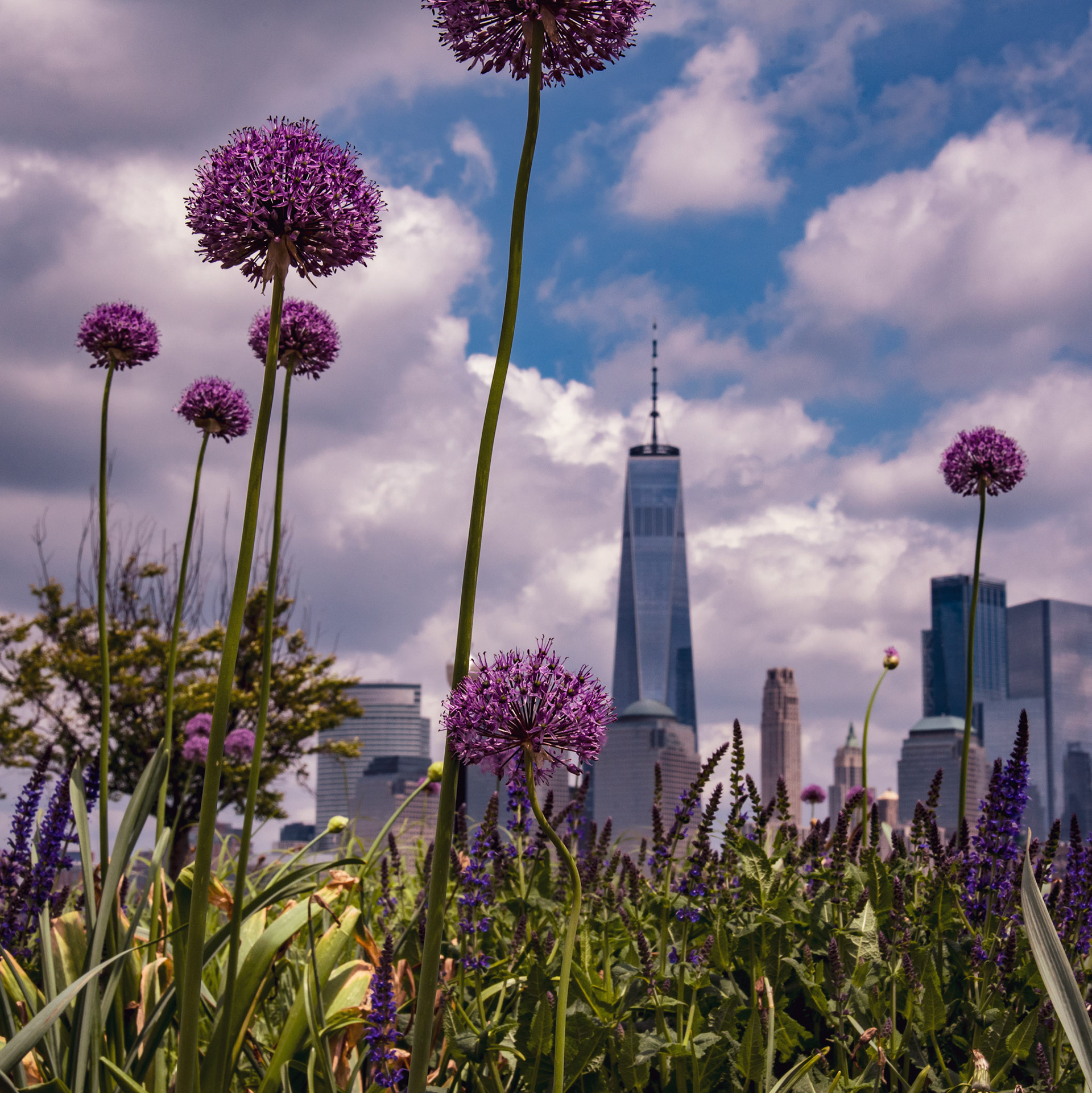 Lower Manhattan
