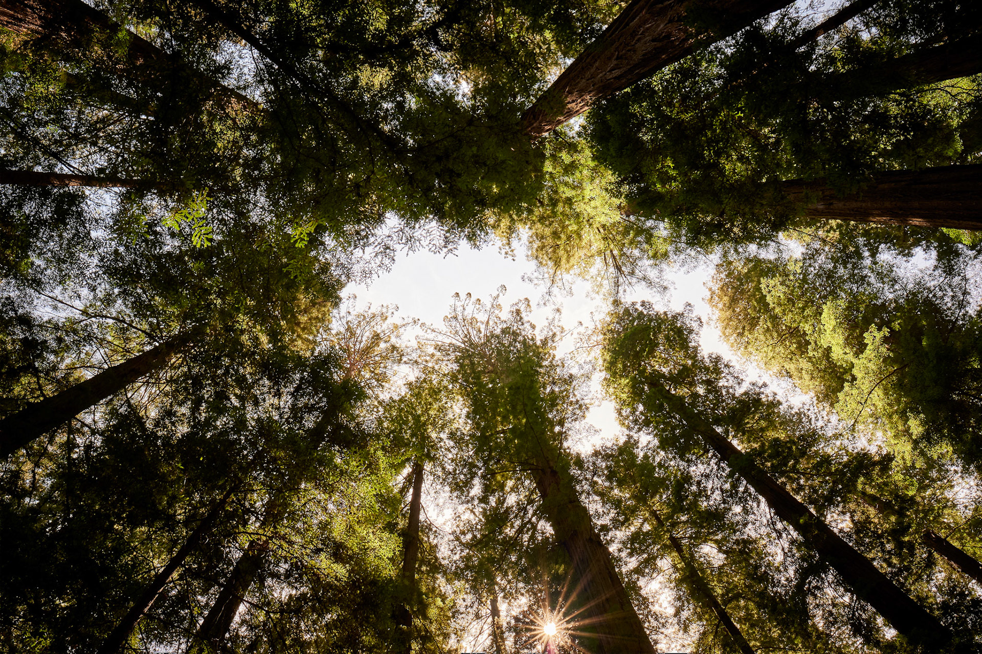 Overhead (HDR)