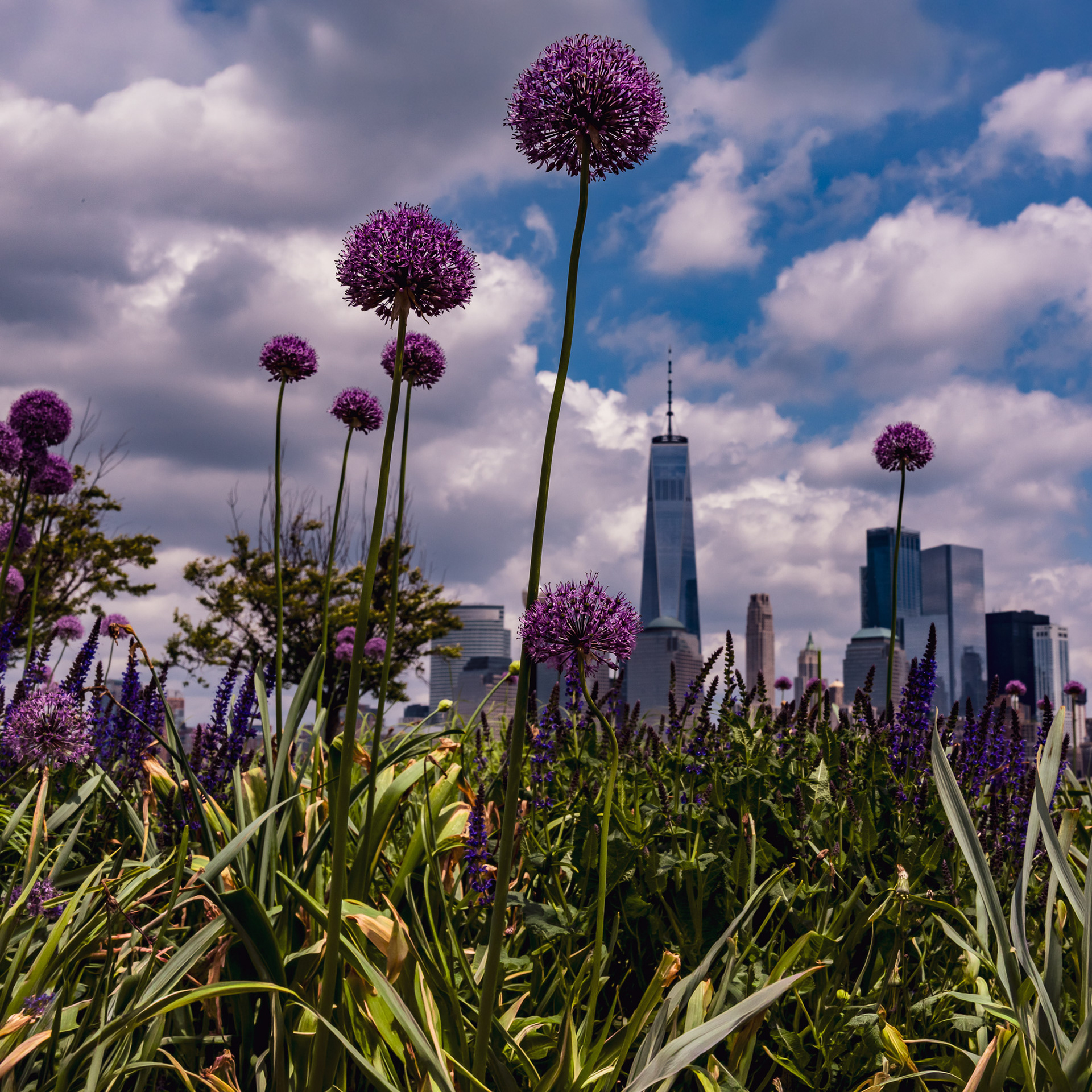 "One World Trade Center", Liberty State Park, New Jersey, 2018