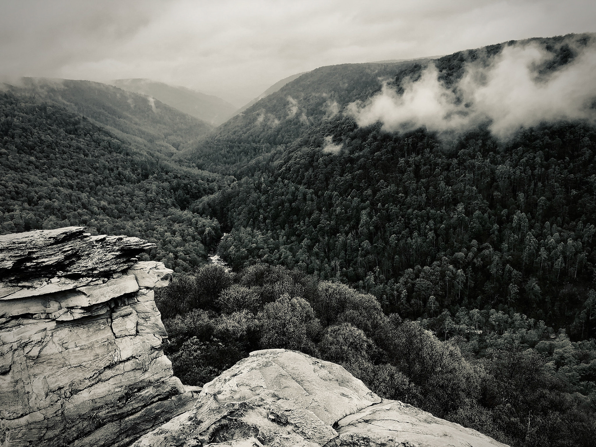 Lindy Point