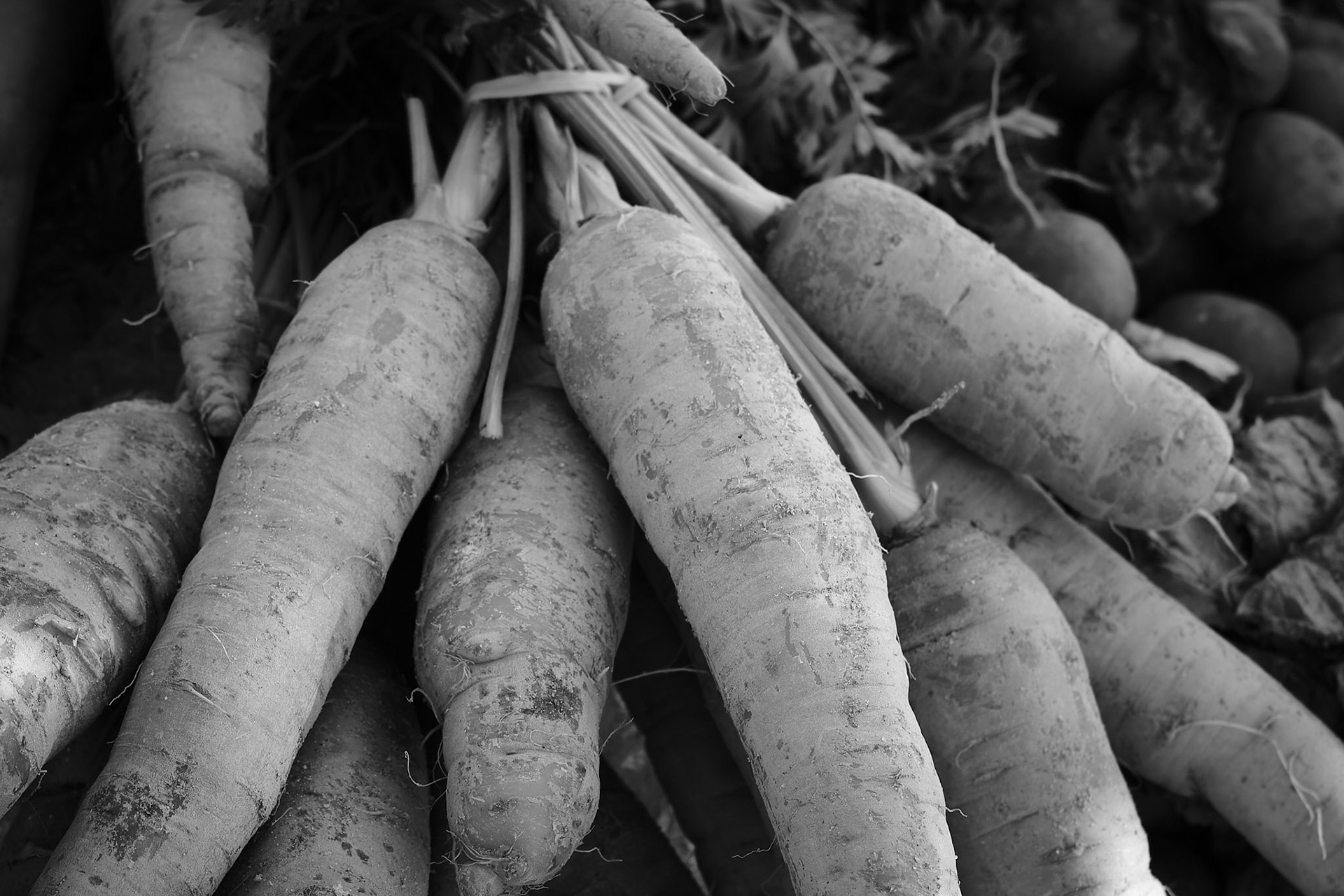 Vegetable Stand