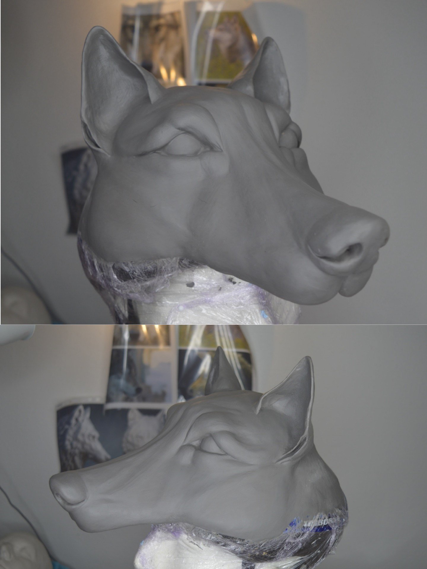 Wolf Head - Personal Project