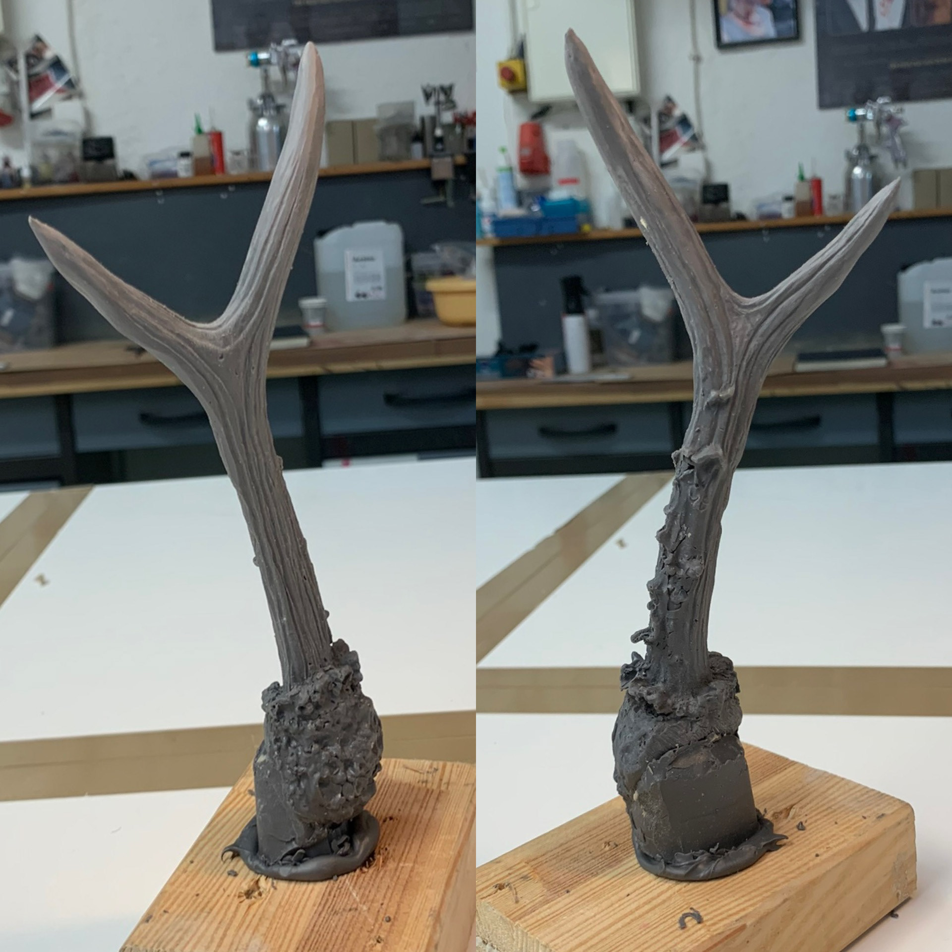 Deer Antlers - A Midsummer Night‘s Dream