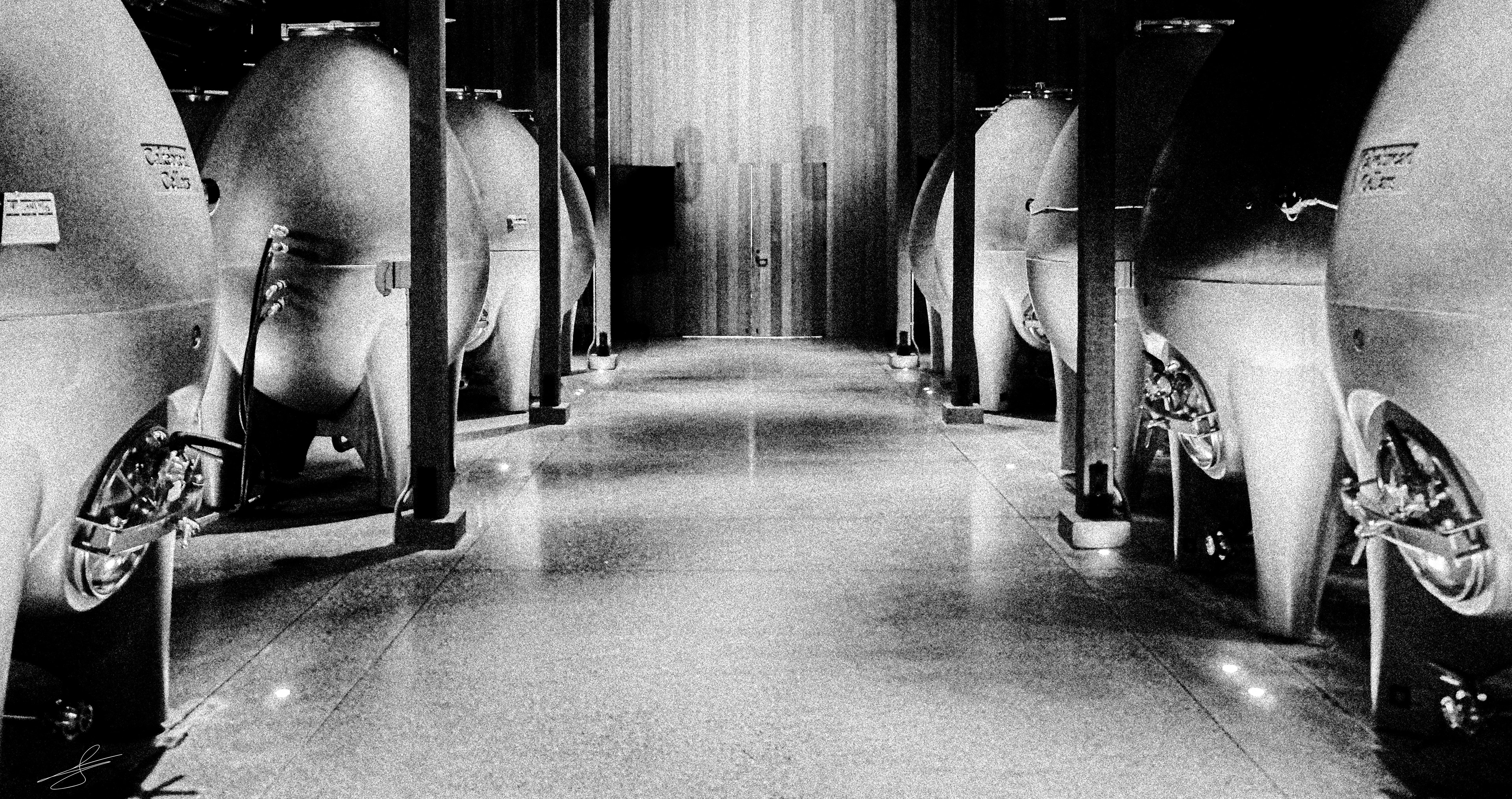 "H1bernaTiOn C@psuL3s"