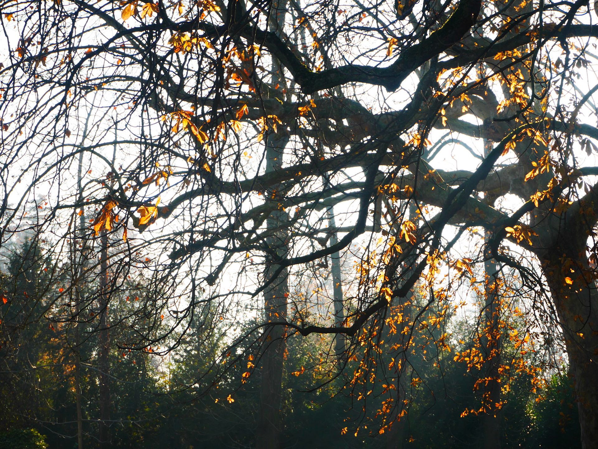 📍 Parc de la Tête d'Or, Lyon