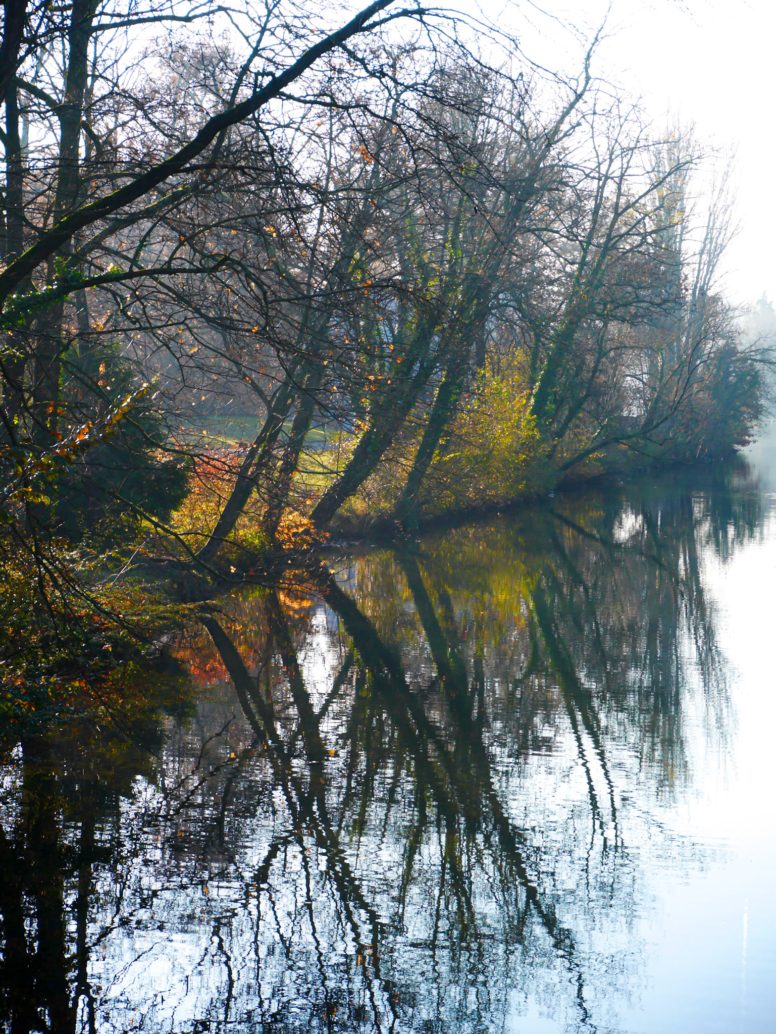 📍 Parc de la Tête d'Or, Lyon