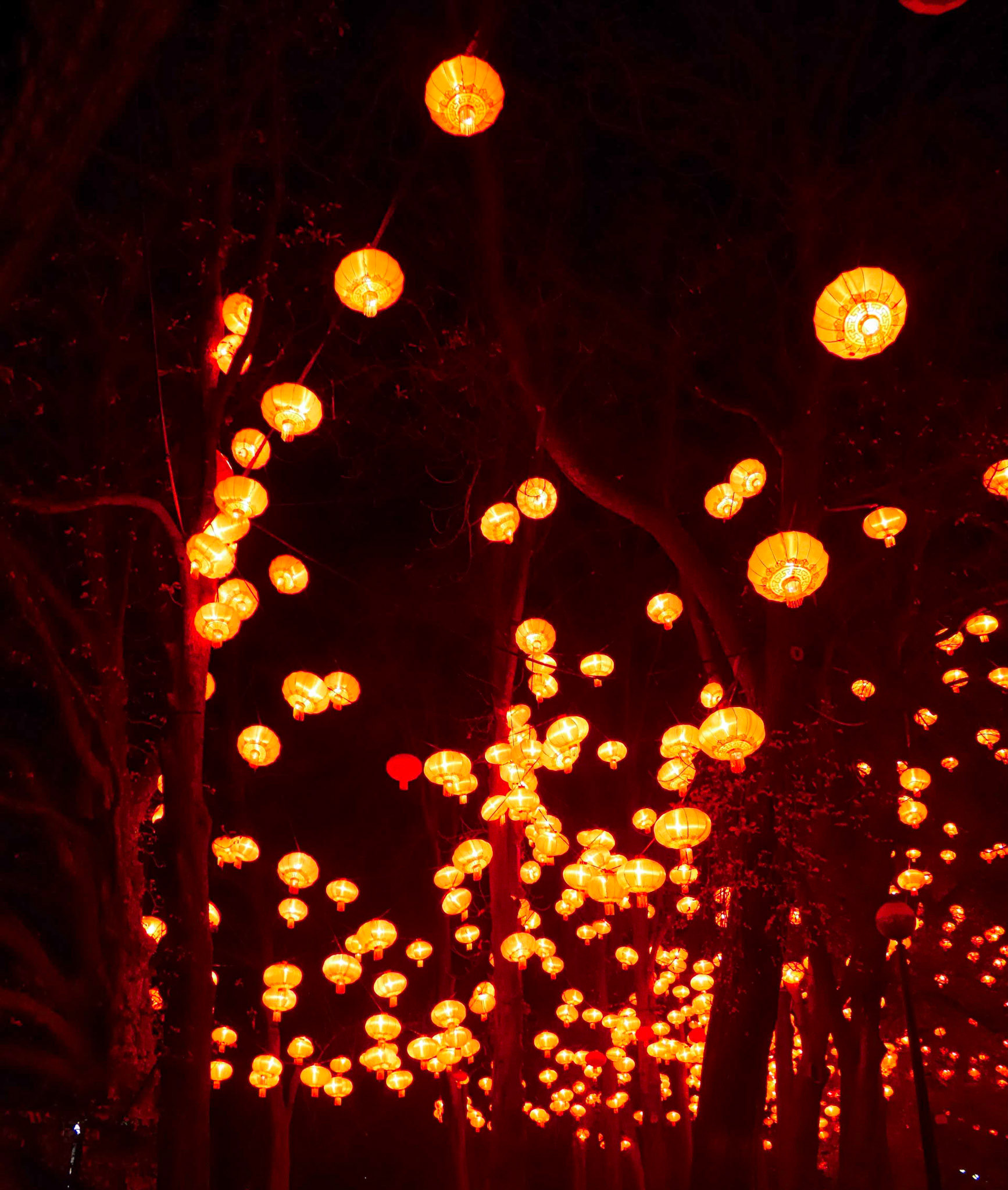 📍 Lyon - Fête des Lumières