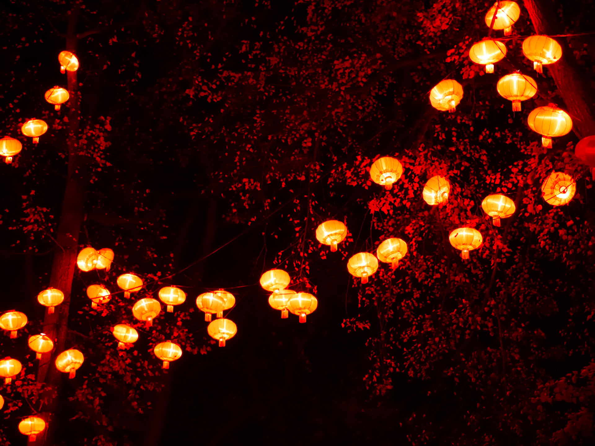 📍 Lyon - Fête des Lumières