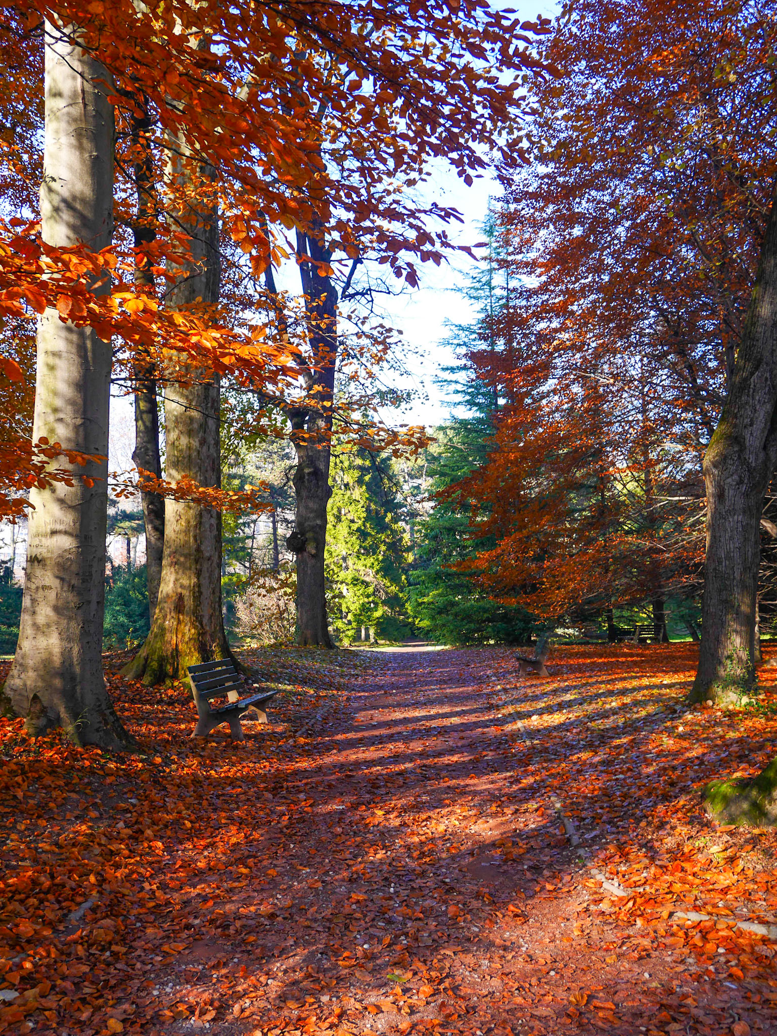 📍 Parc de la Tête d'Or, Lyon