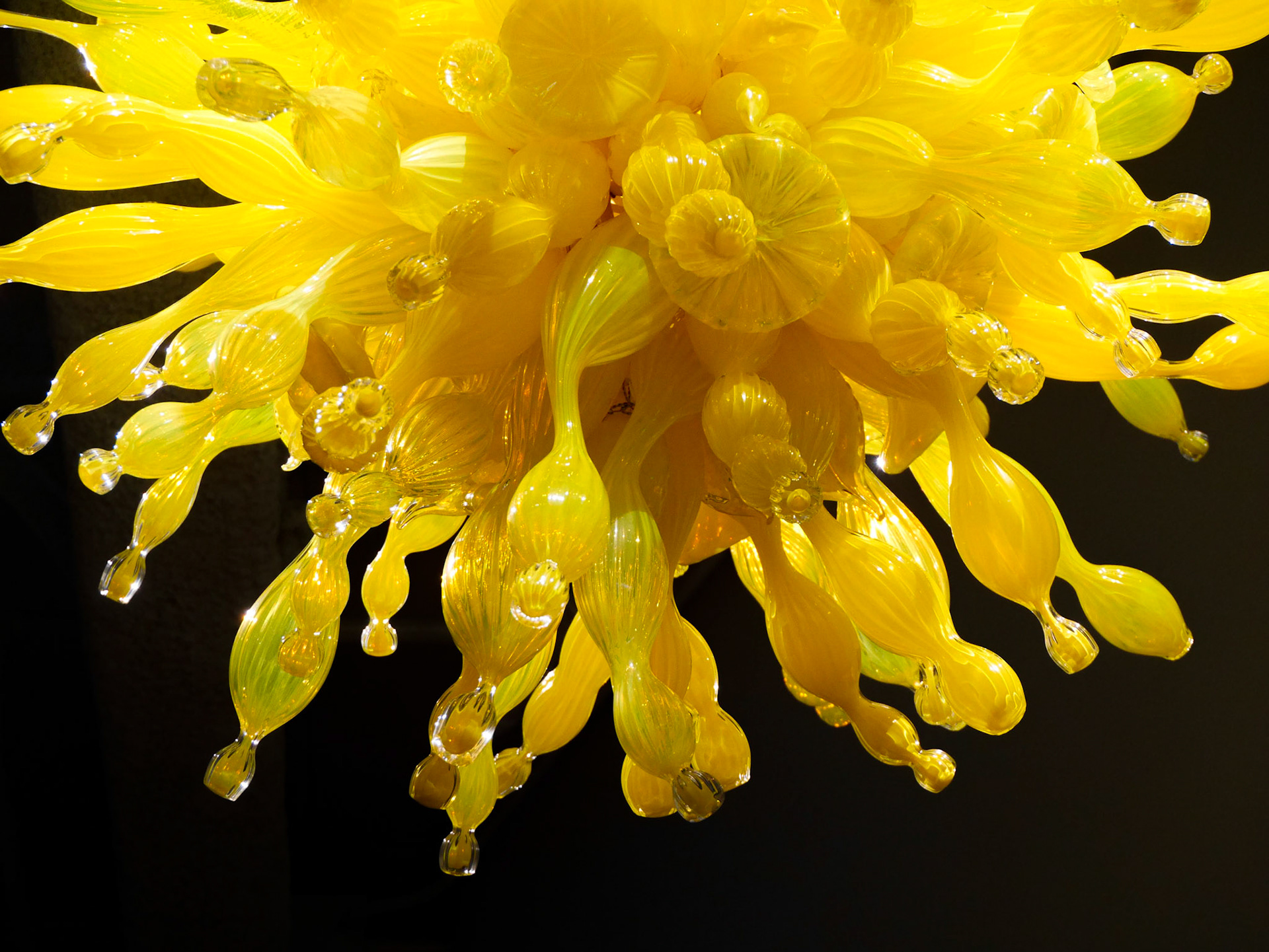 Toyama Glass Art Museum