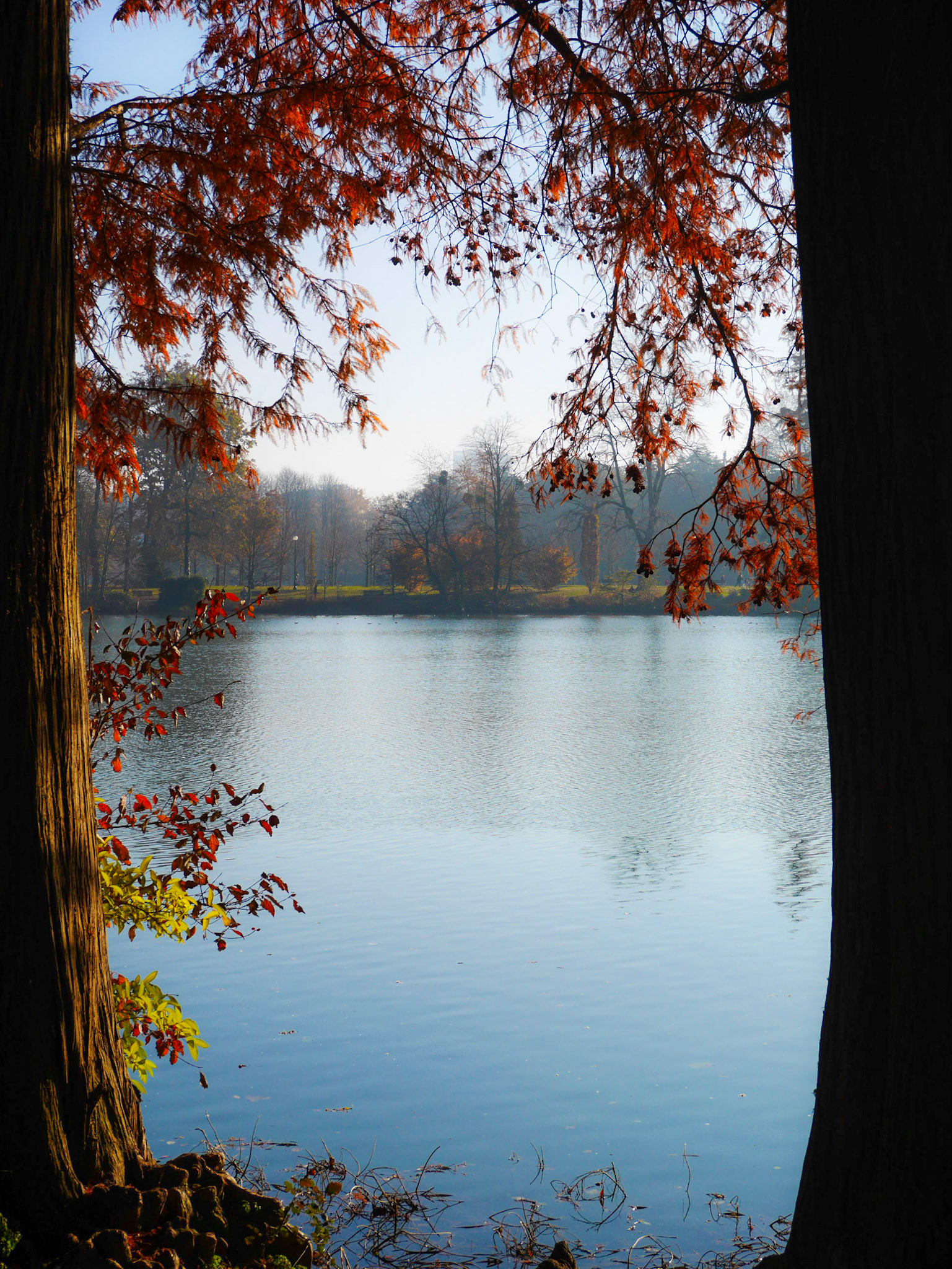 📍 Parc de la Tête d'Or, Lyon