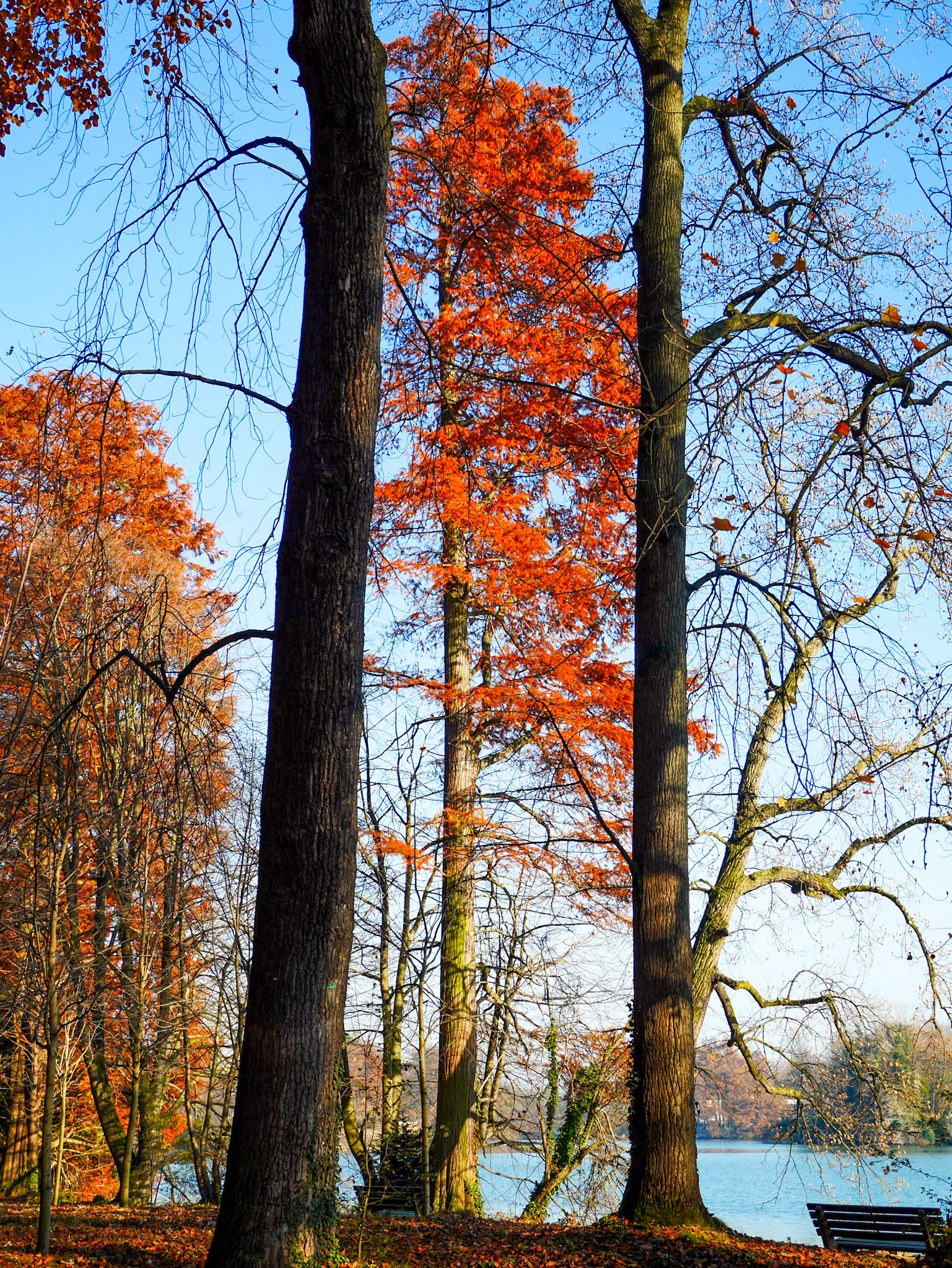 📍 Parc de la Tête d'Or, Lyon