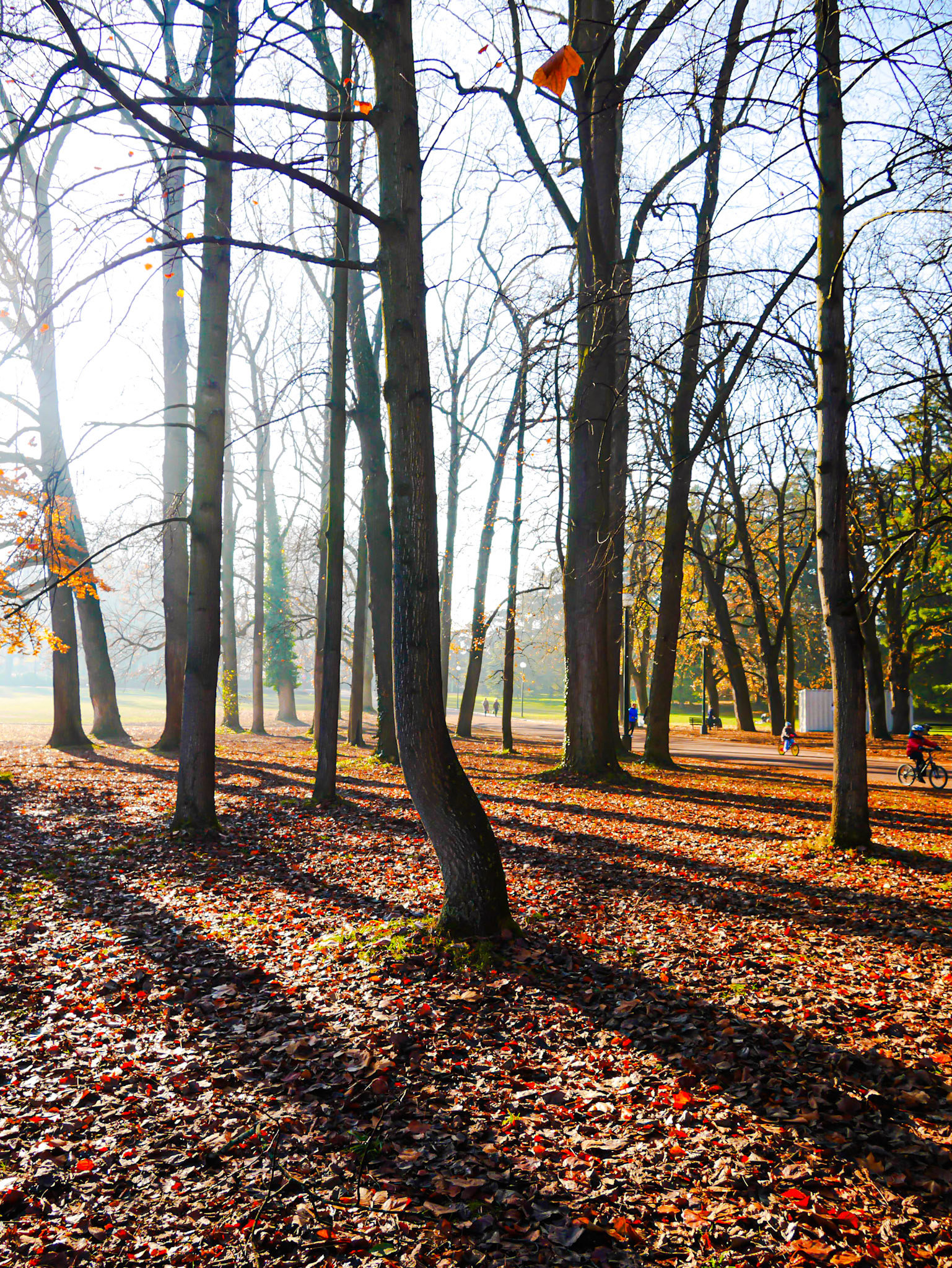 📍 Parc de la Tête d'Or, Lyon