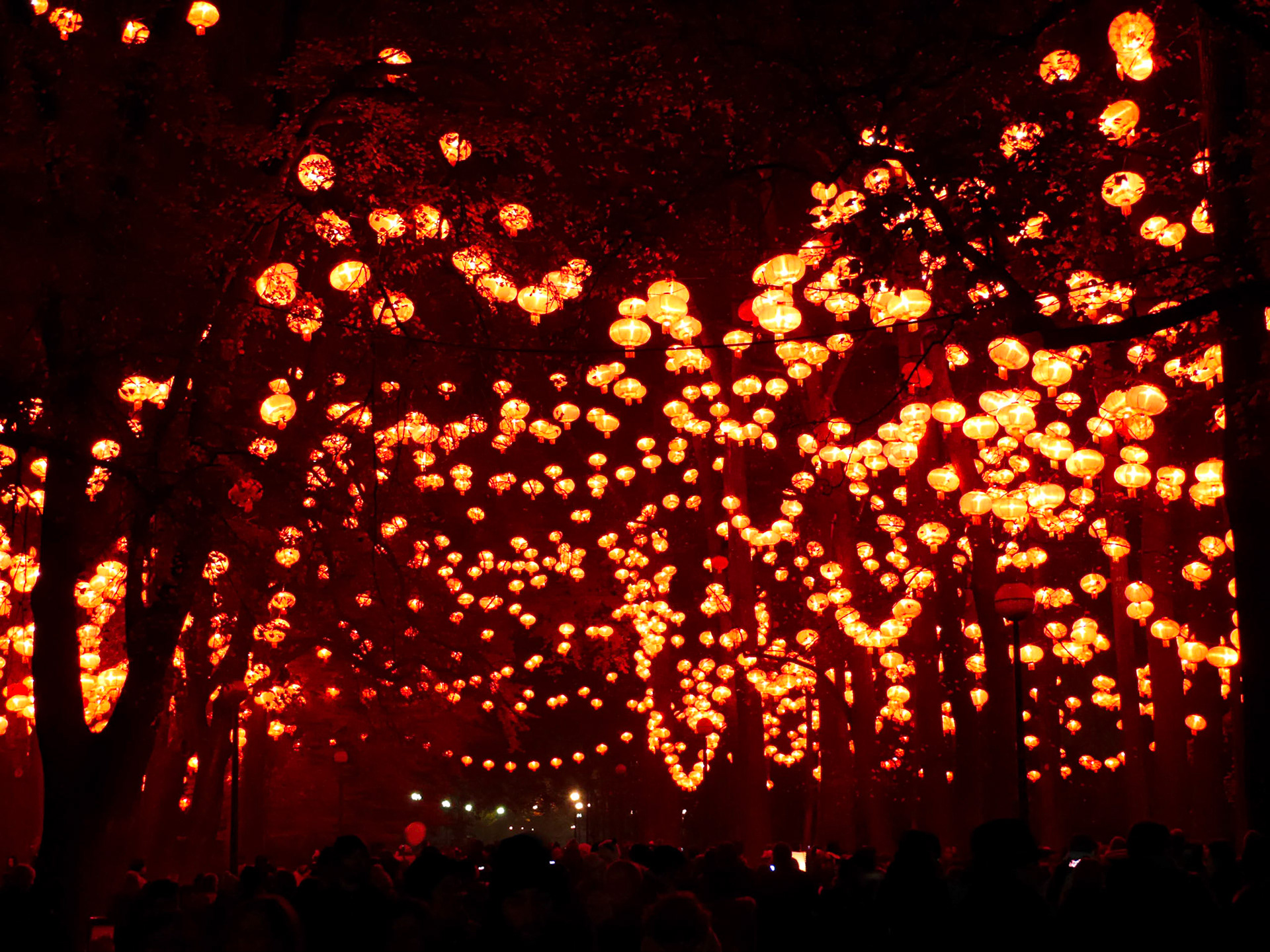 📍 Lyon - Fête des Lumières