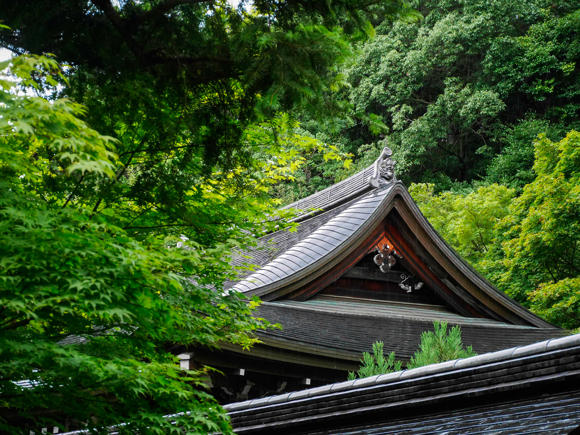 Kinkaku-ji, Kyoto