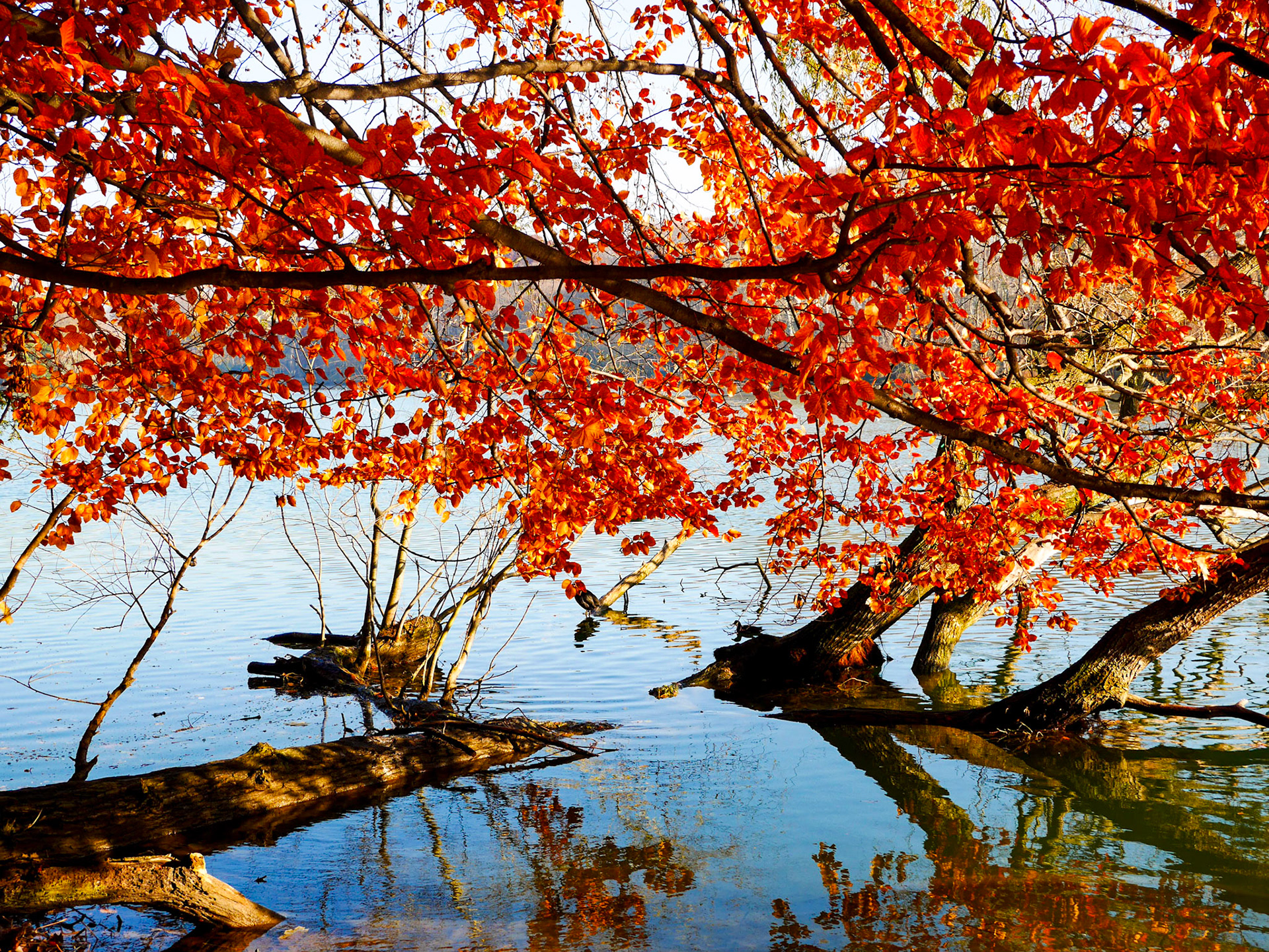 📍 Parc de la Tête d'Or, Lyon