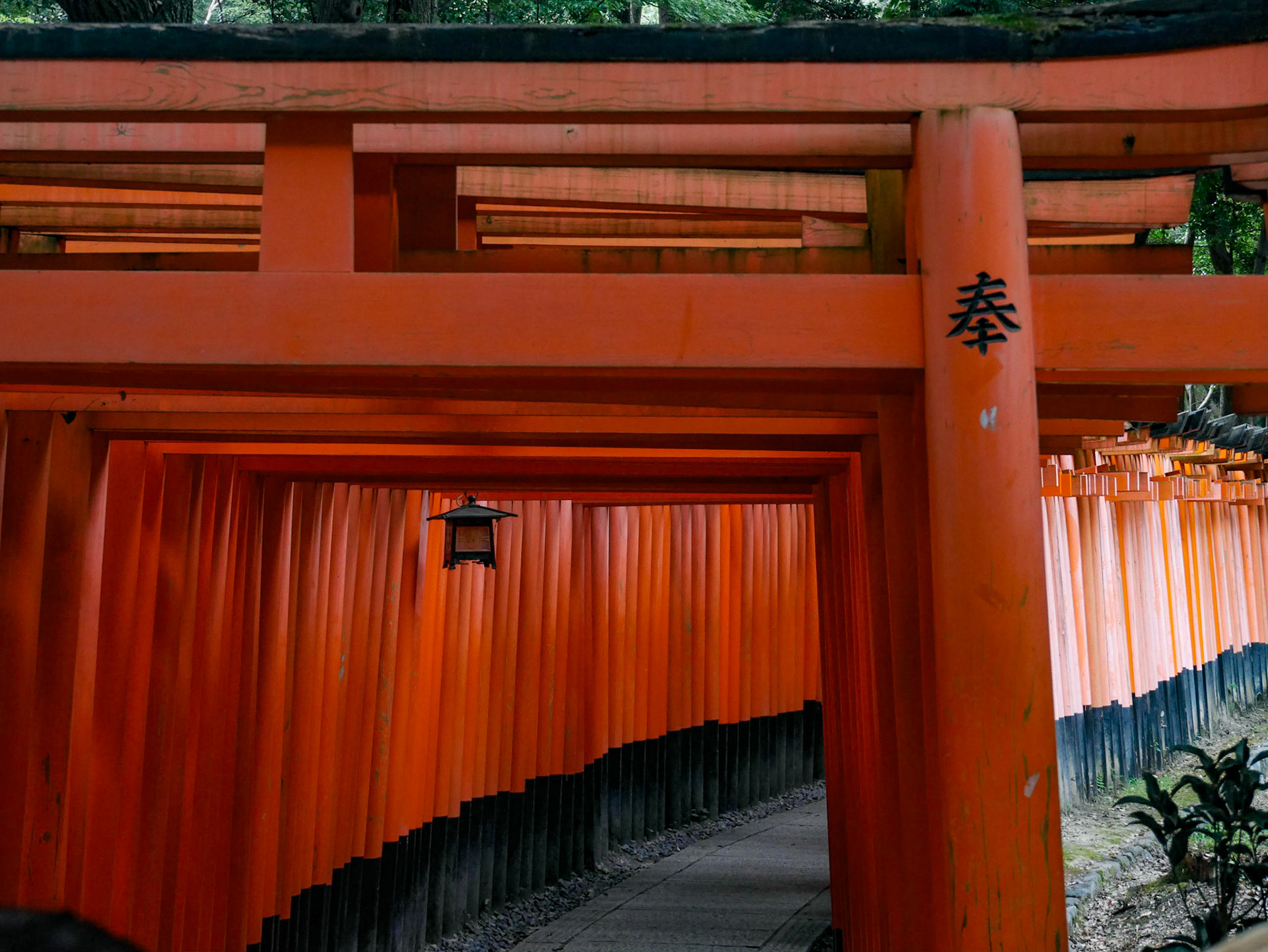 Fushimi Inari-taisha, Kyoto